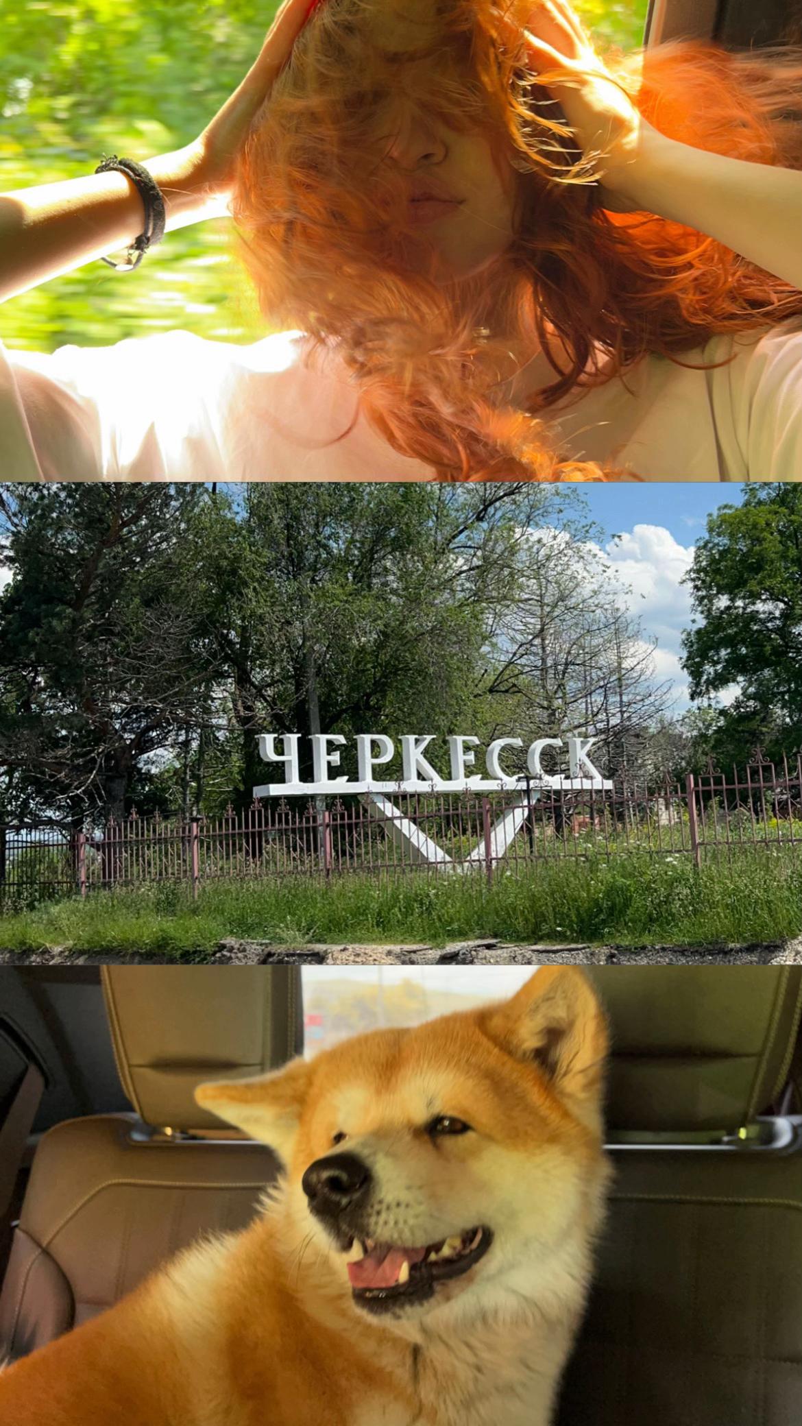 @киса🐈