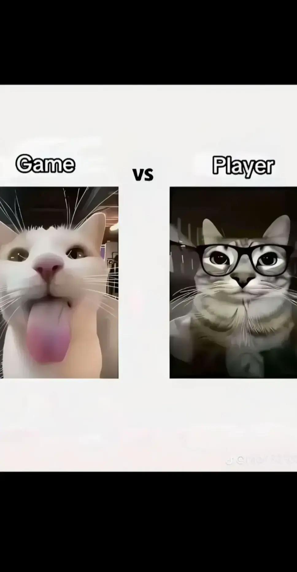 @🤍