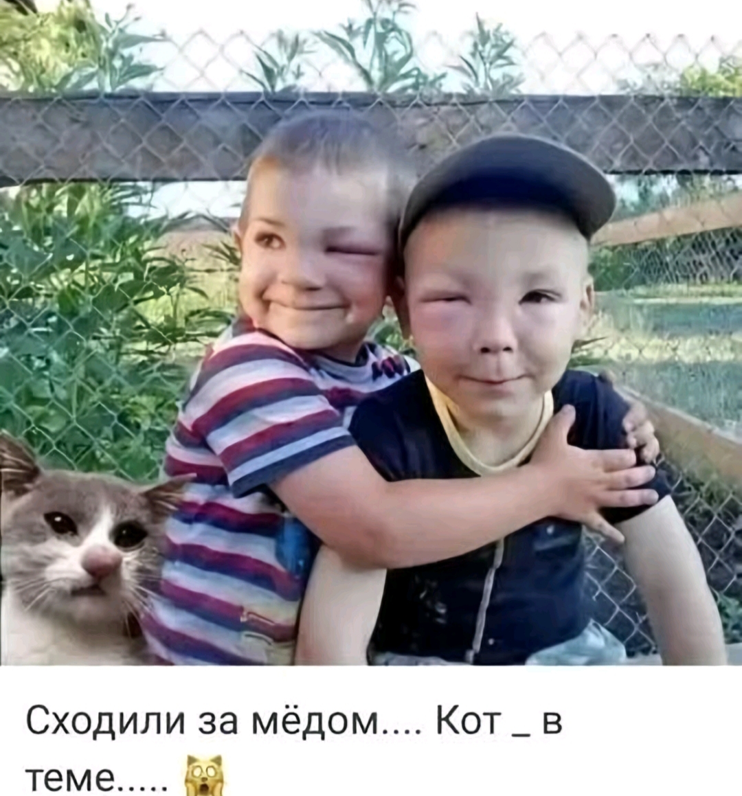 @kupit_slona_rek