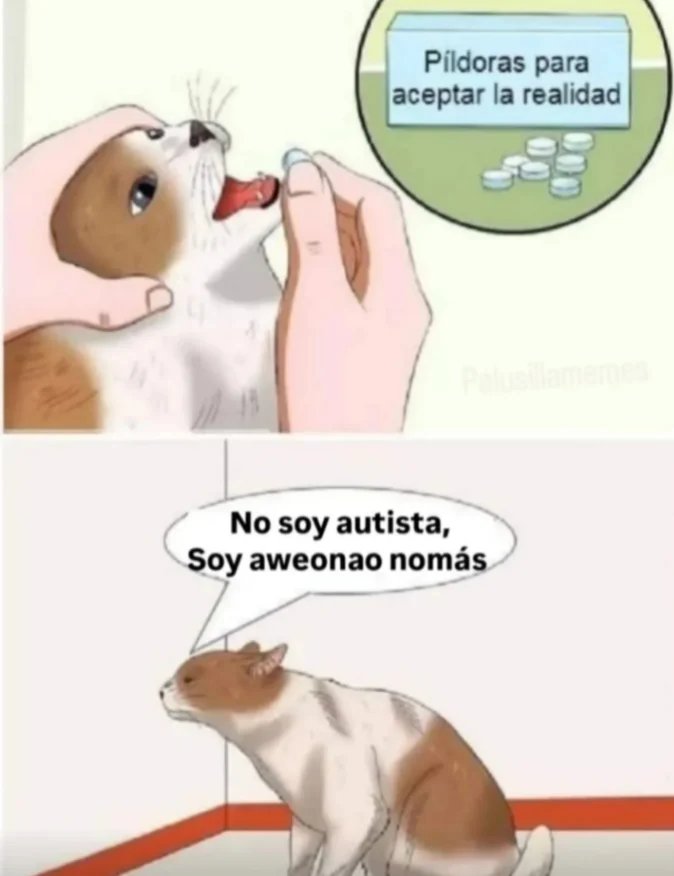 @Elian_col