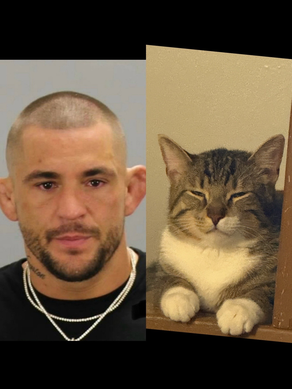 @Kitty Picks MMA