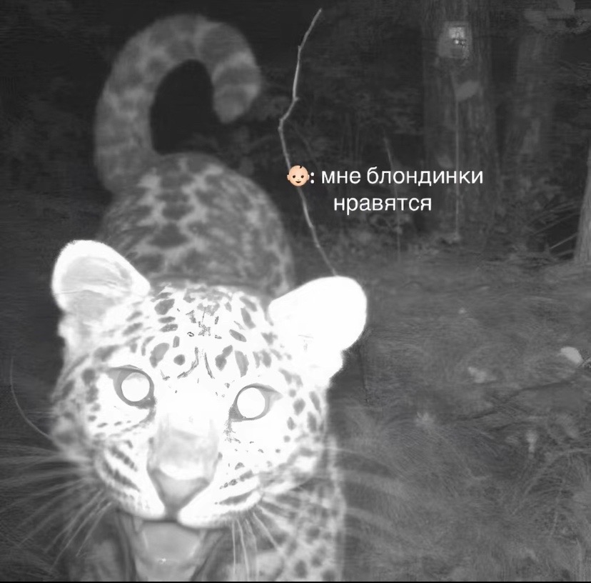 @тгк: 𝒛𝒉𝒂𝒔𝒚𝒂