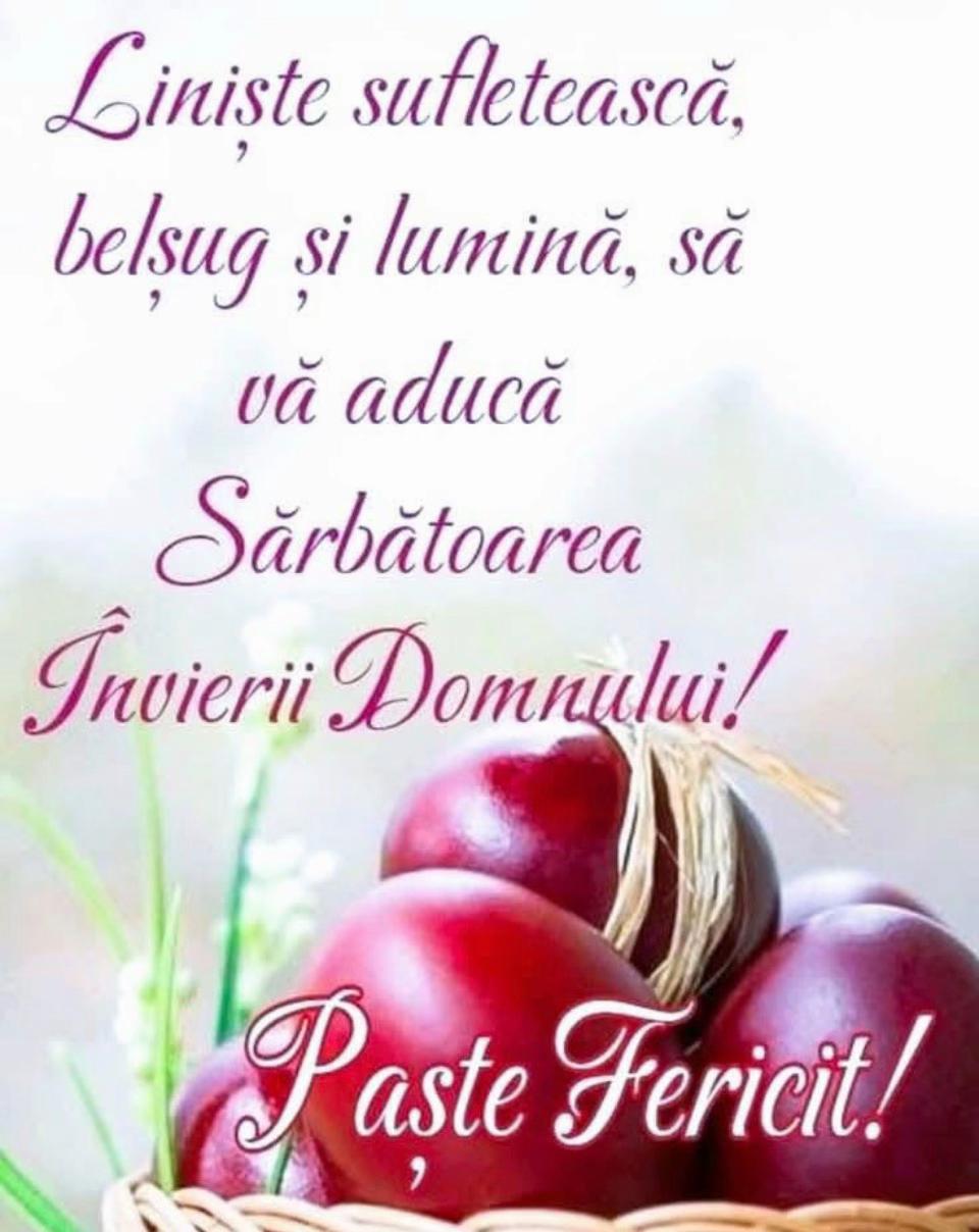 @Laura Borțun