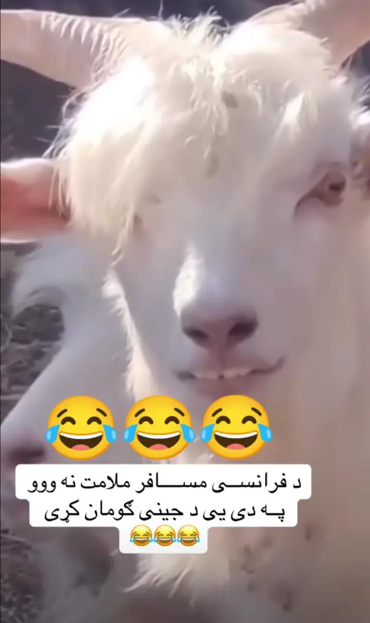 @🔥 Waliullah SAHIBZADA 🔥