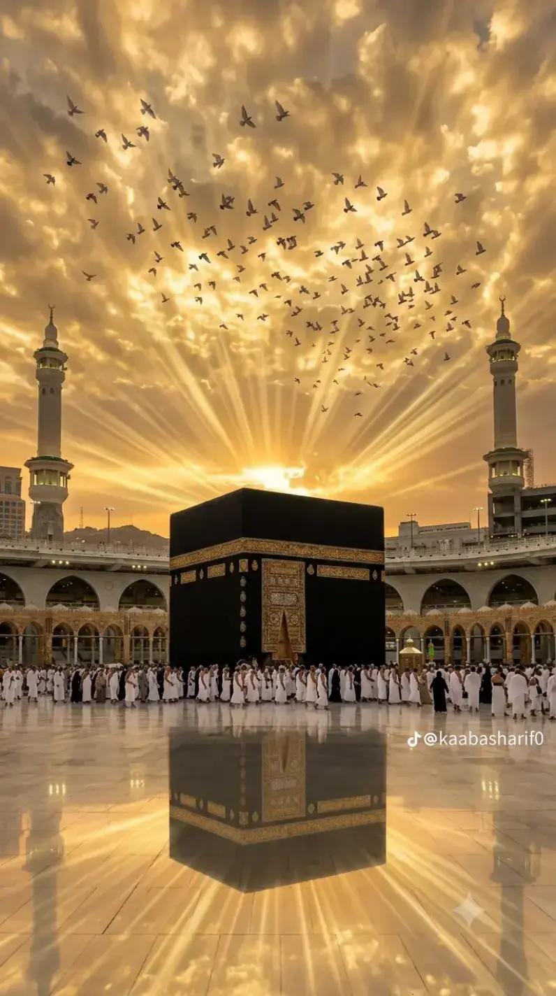 @Hafeez_malana