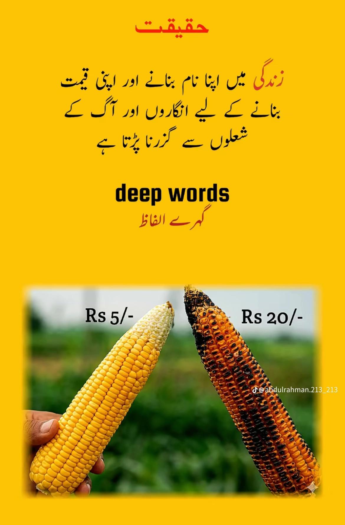 @waqasqureshi786