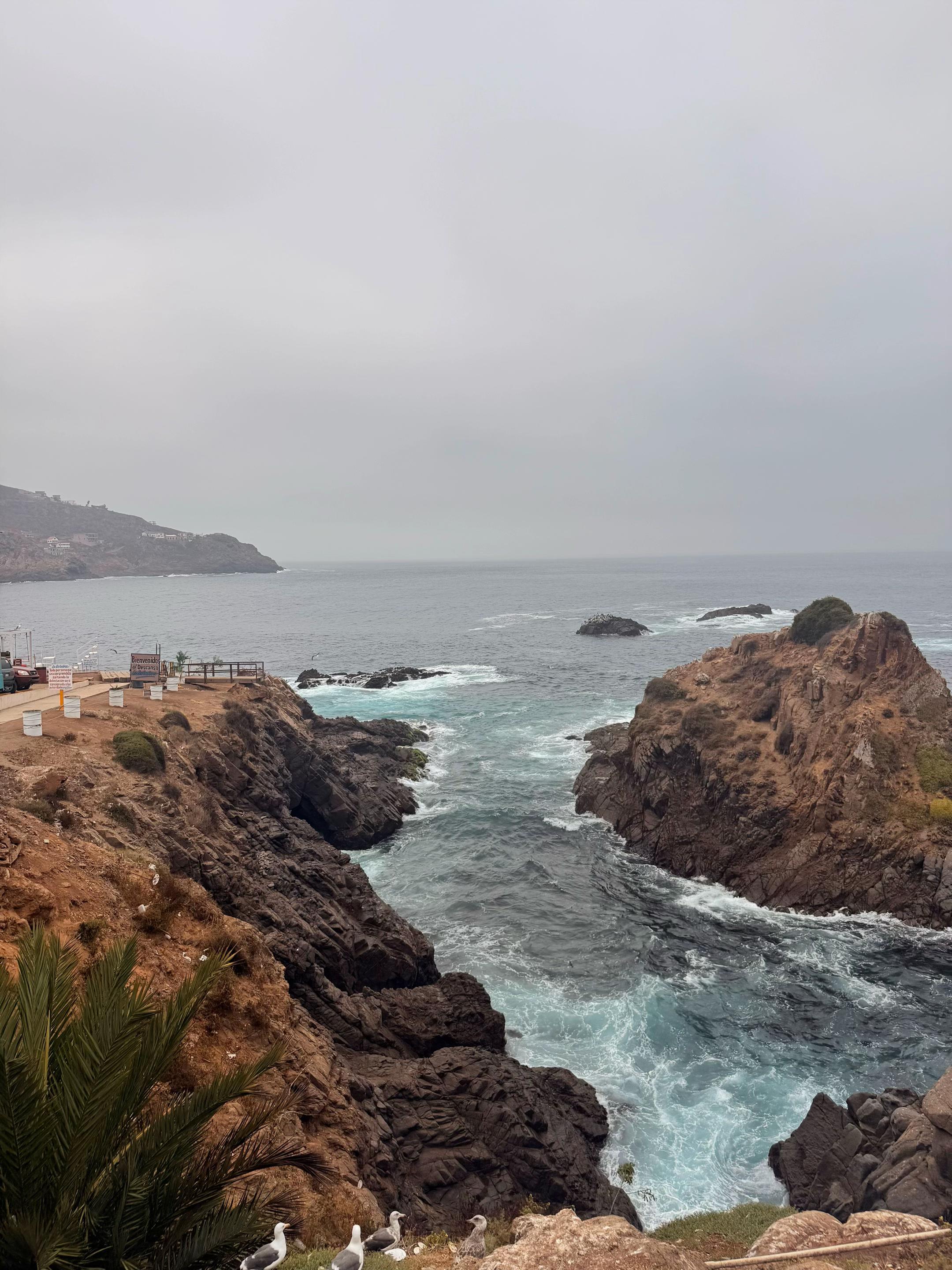 @๐๐๐ค