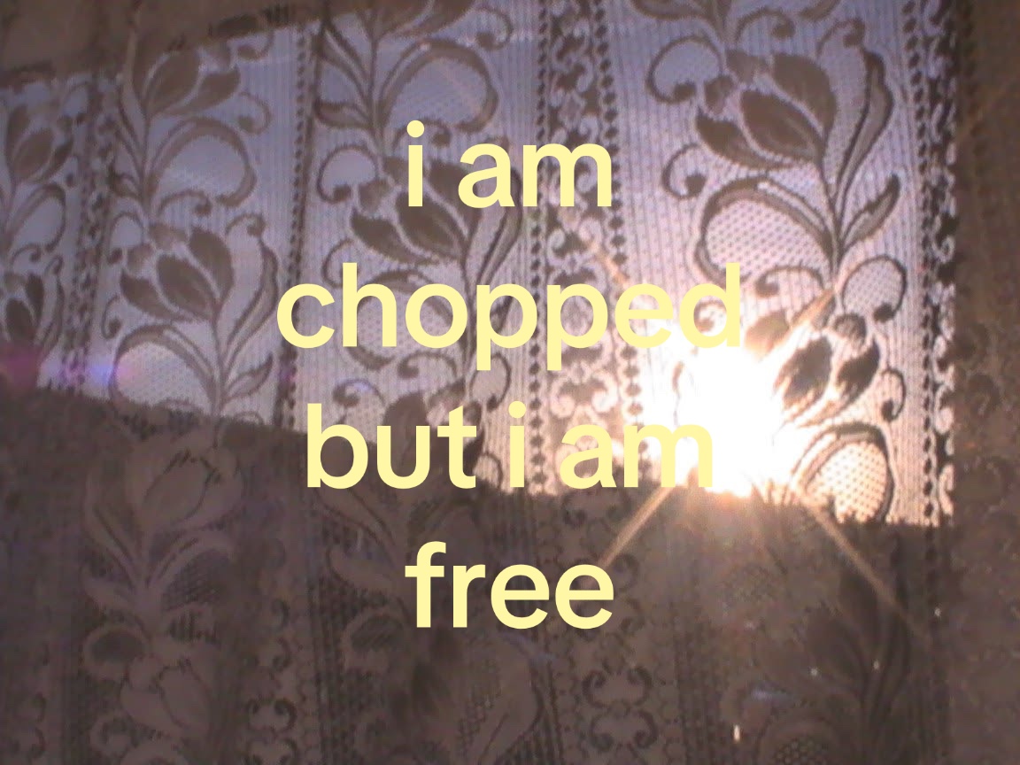 @𓆩♡𓆪