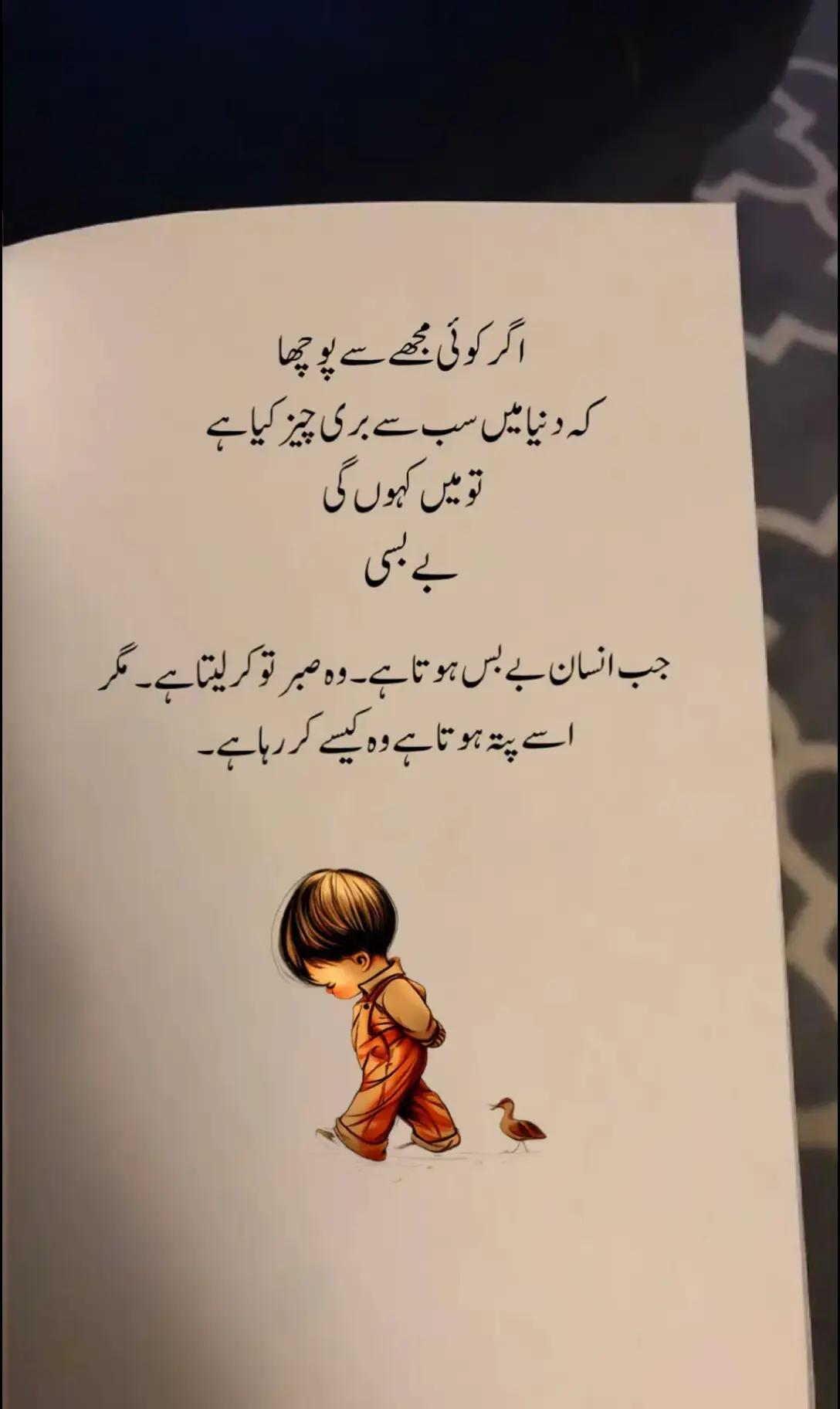 @inzamam jani