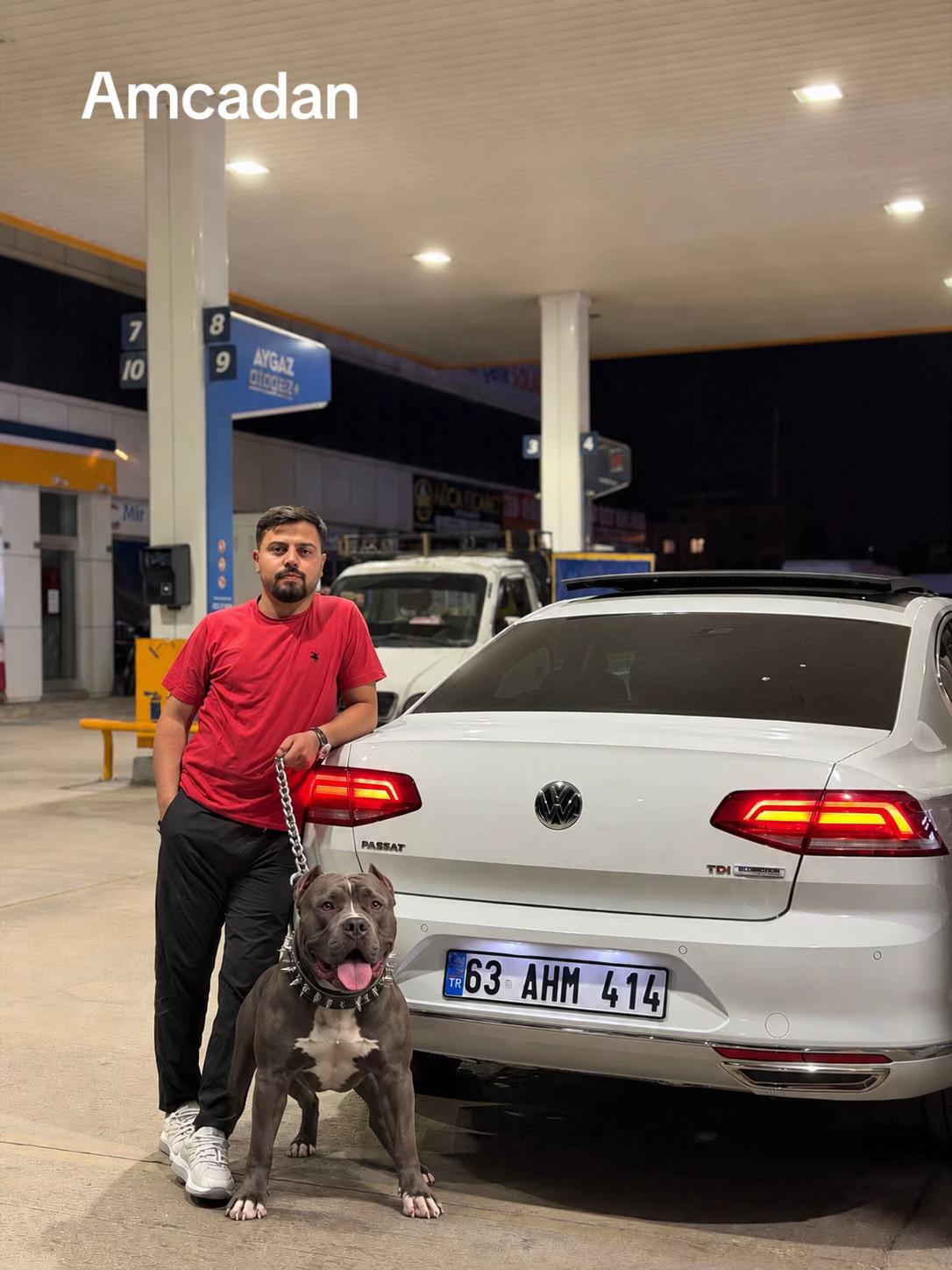 @Halil_bey_&ouml;zinal
