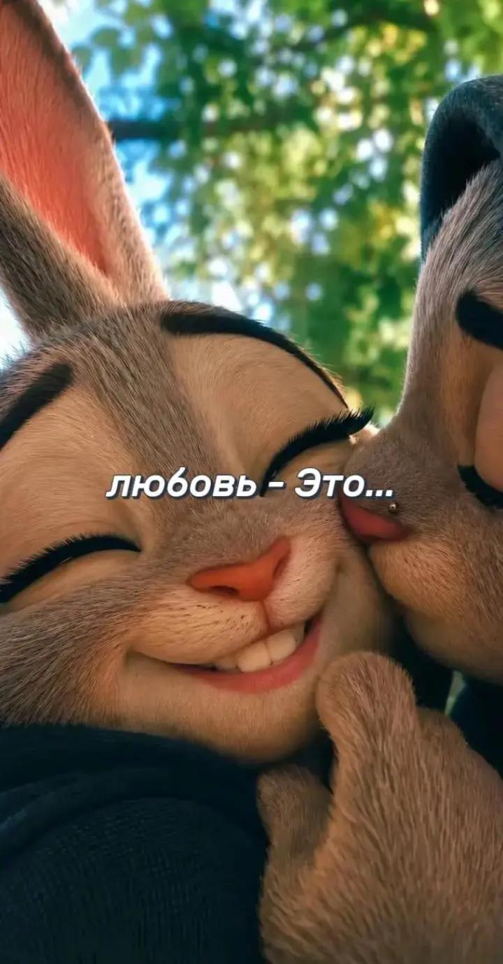 @𓆩ꨄ𓆪м.а.н.ю.н.я 𓆩ꨄ𓆪
