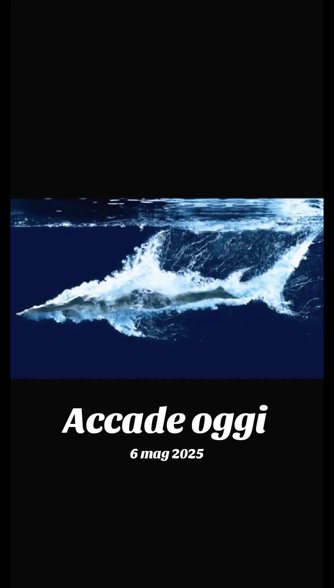 @Elisa Biondi851