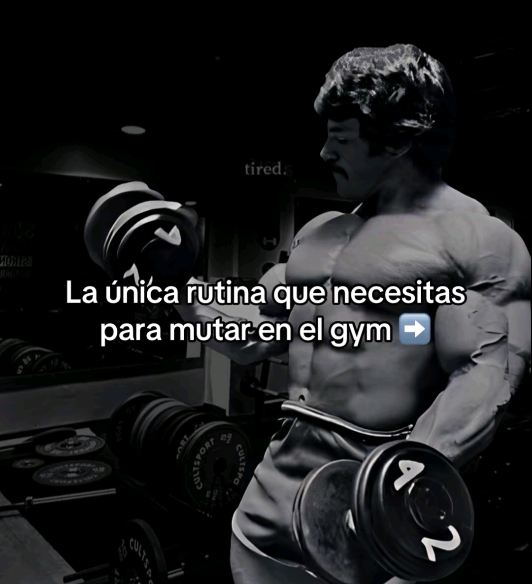 @Maximilianopaez