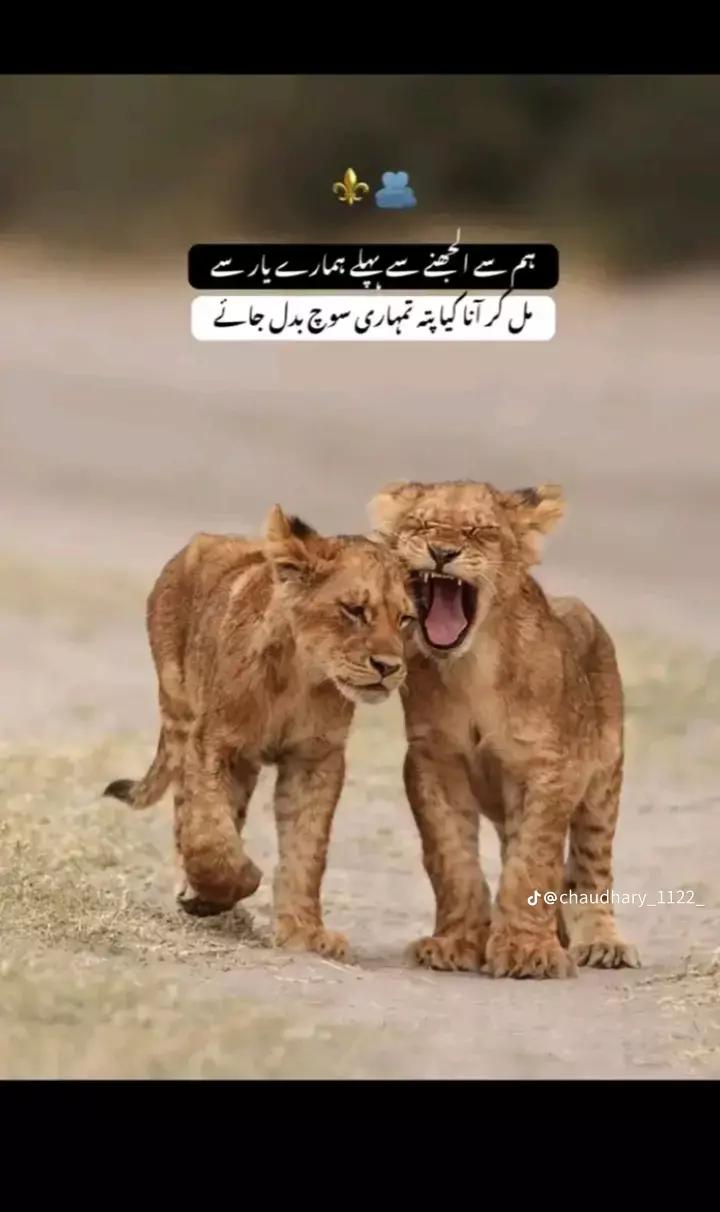 @👑احسان صیریق,👑