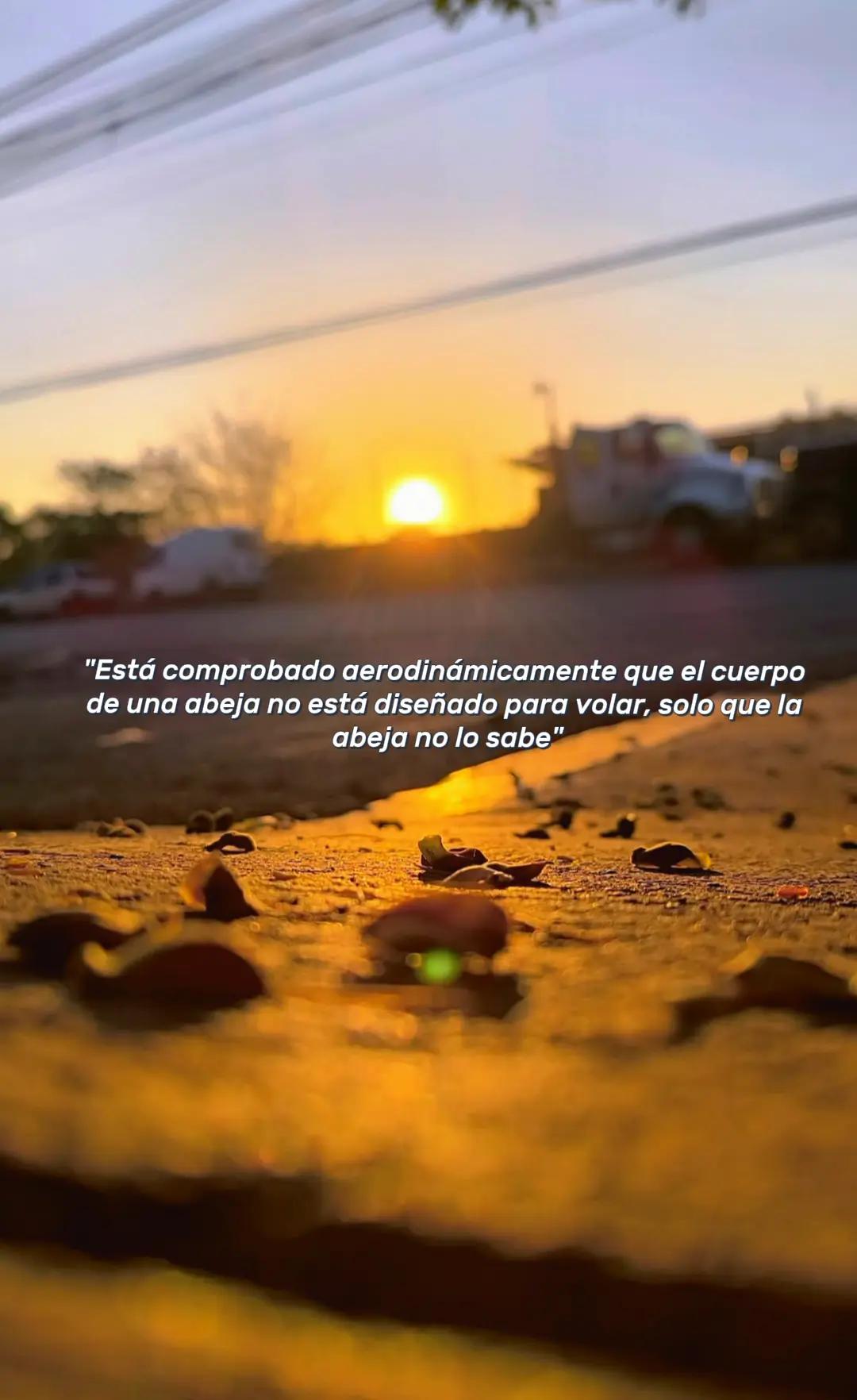 @wichouMINCRE