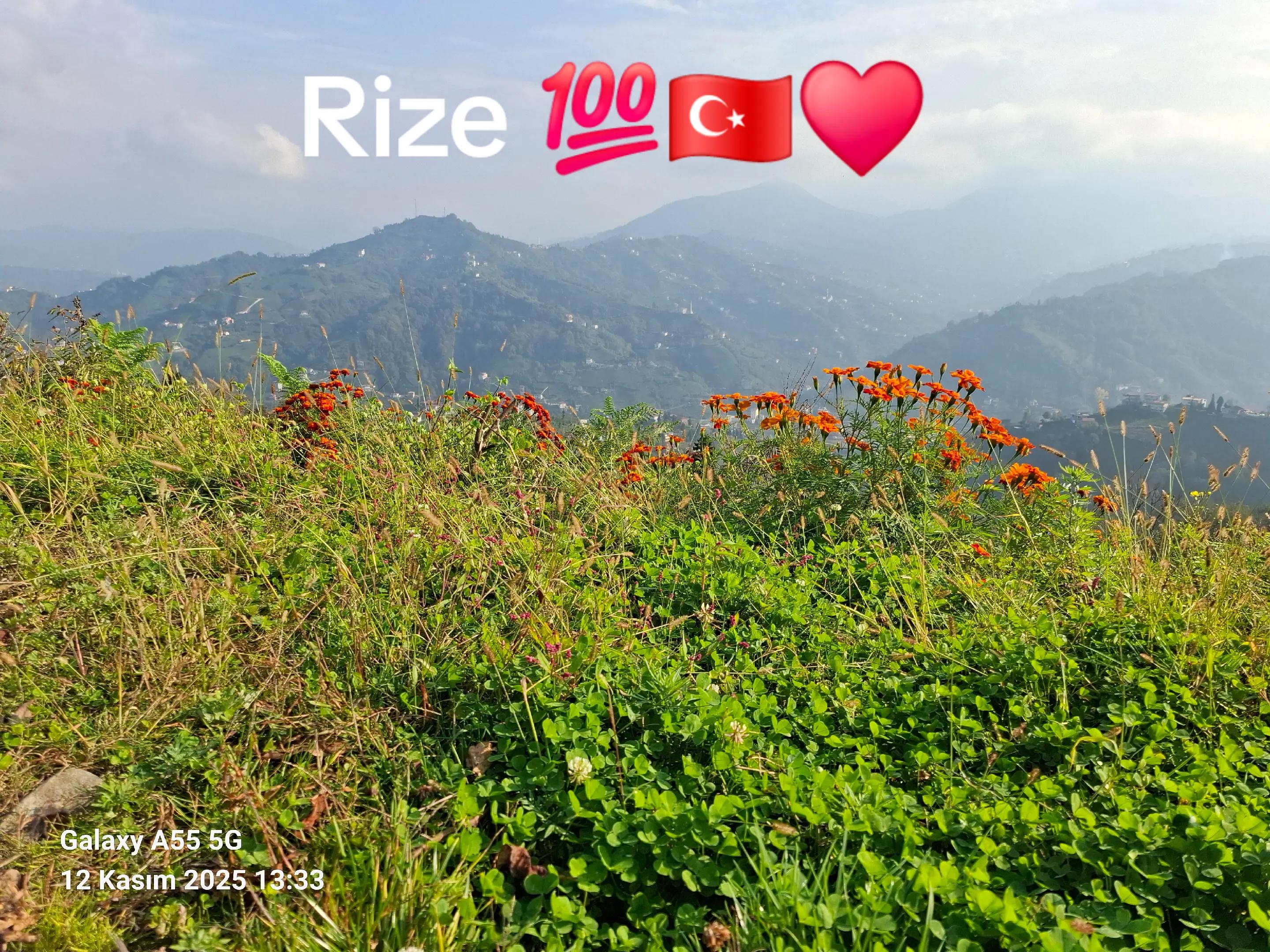 @Adam53Rize💯💯