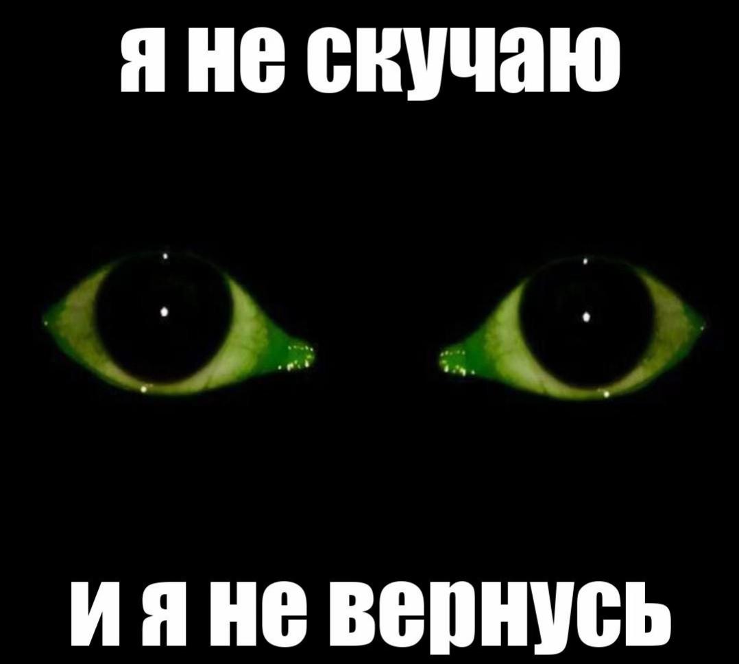 @🐈&zwj;⬛ ♀𝐋𝐢𝐧𝐝𝐋𝐞𝐢𝐝 ♫⃠ 🥩