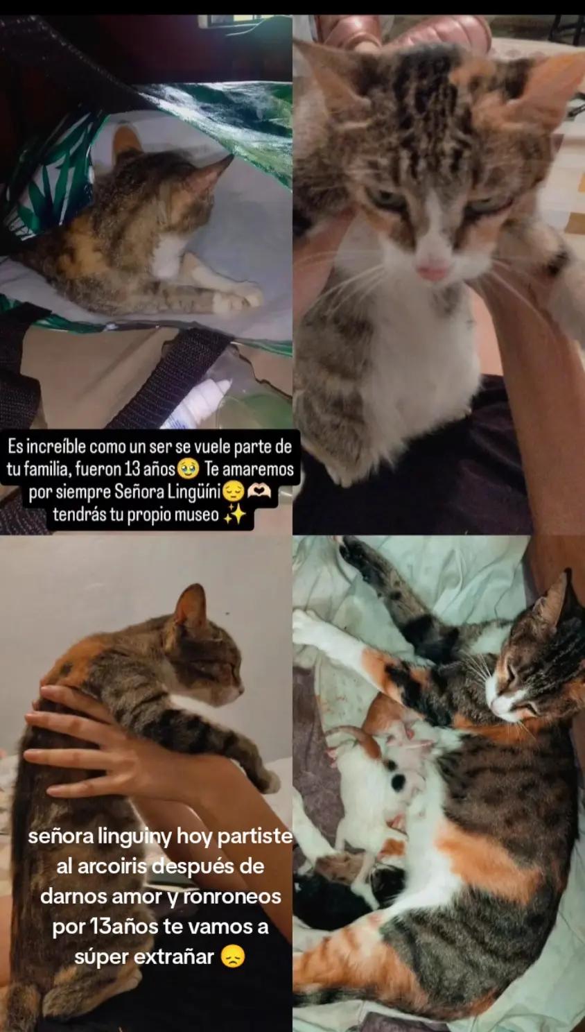 @raquelvargas196 Raquel