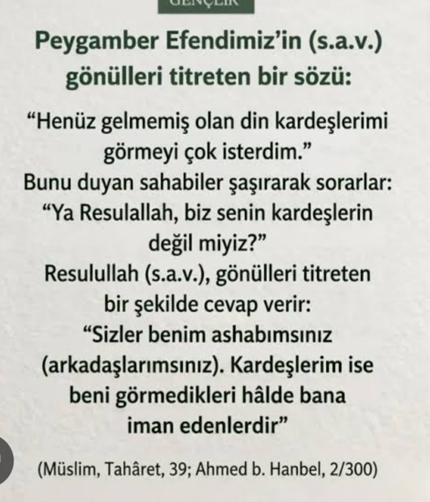 @Hayat Yolu