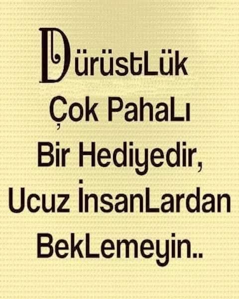 @81 D&uuml;zce