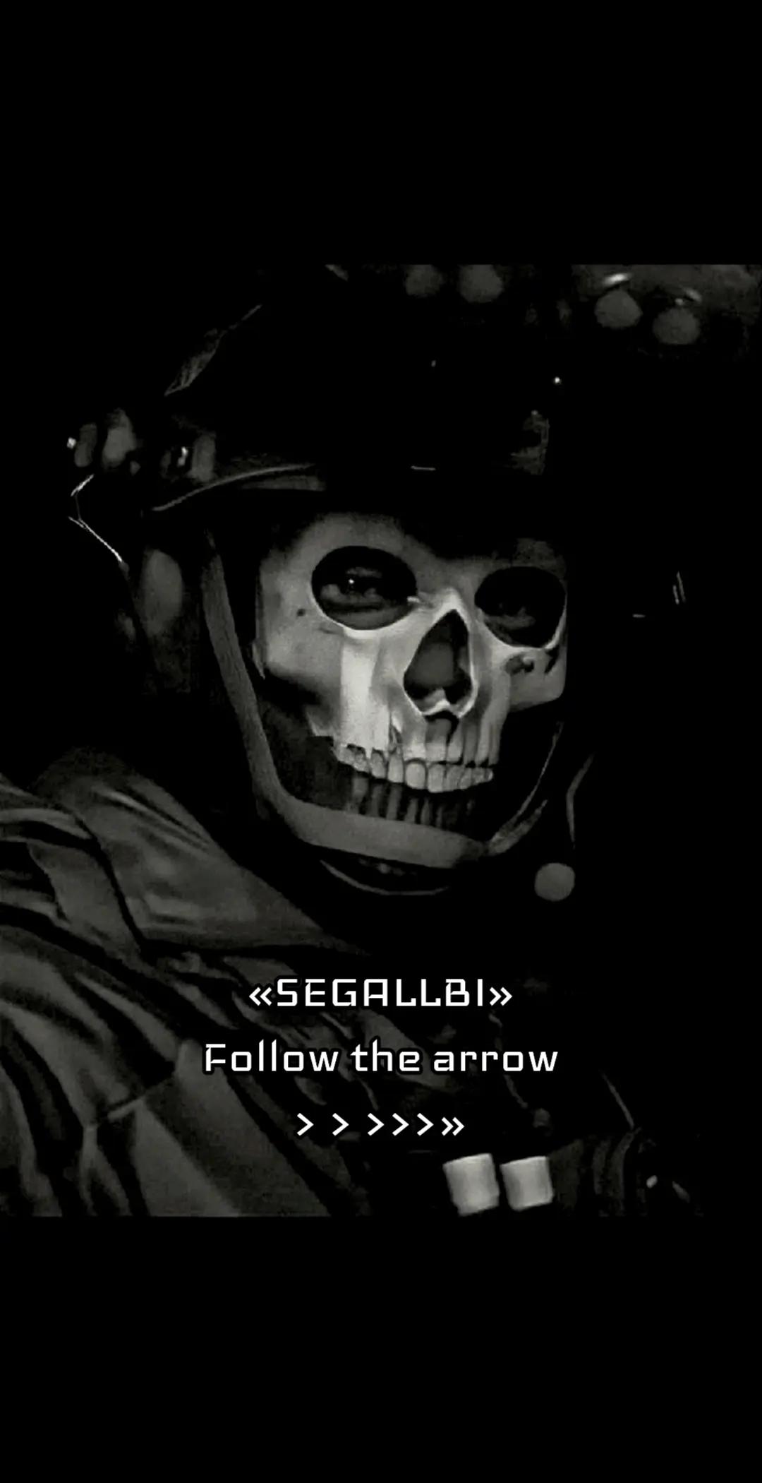 @SEGALLBI