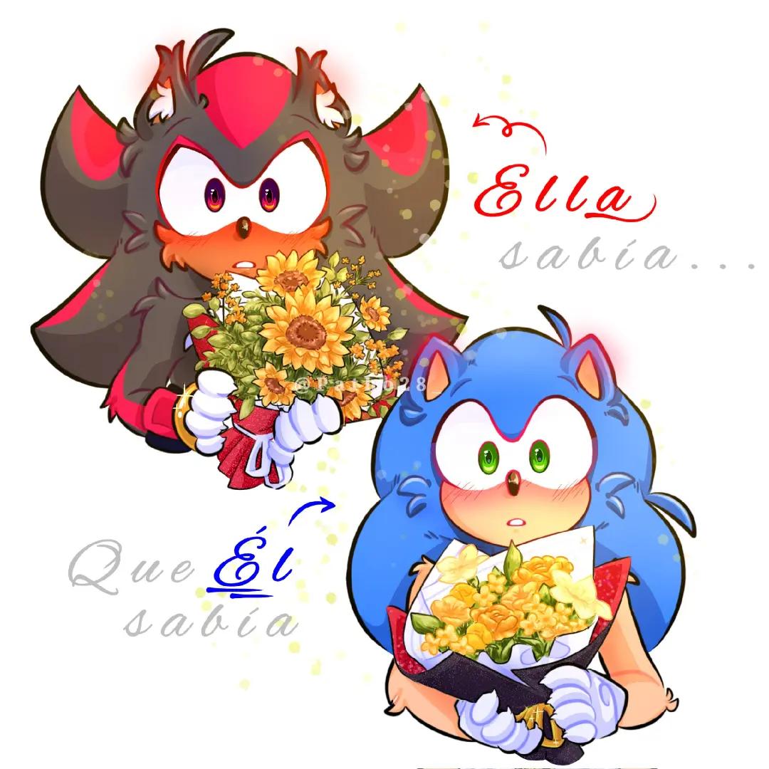 @💙SONADOW🖤