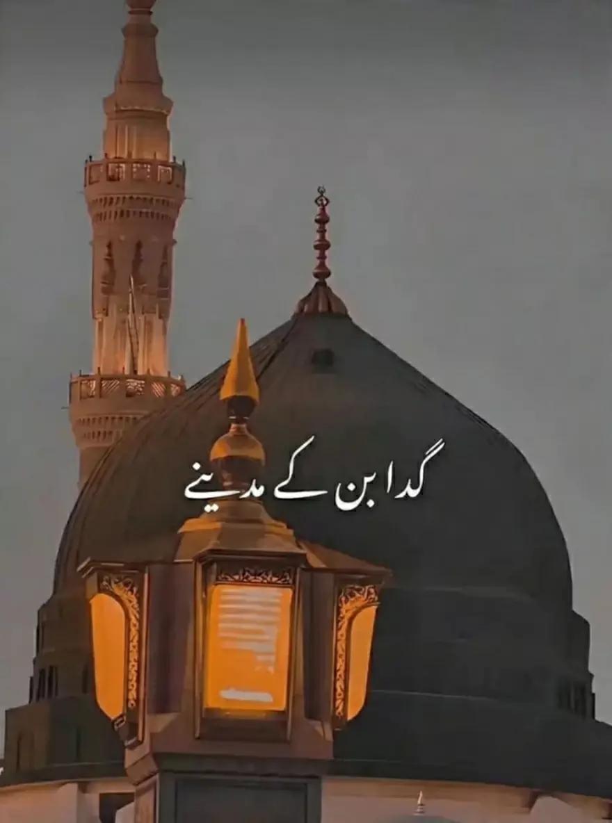 @🚩شاہ جی کہتے ہیں🚩