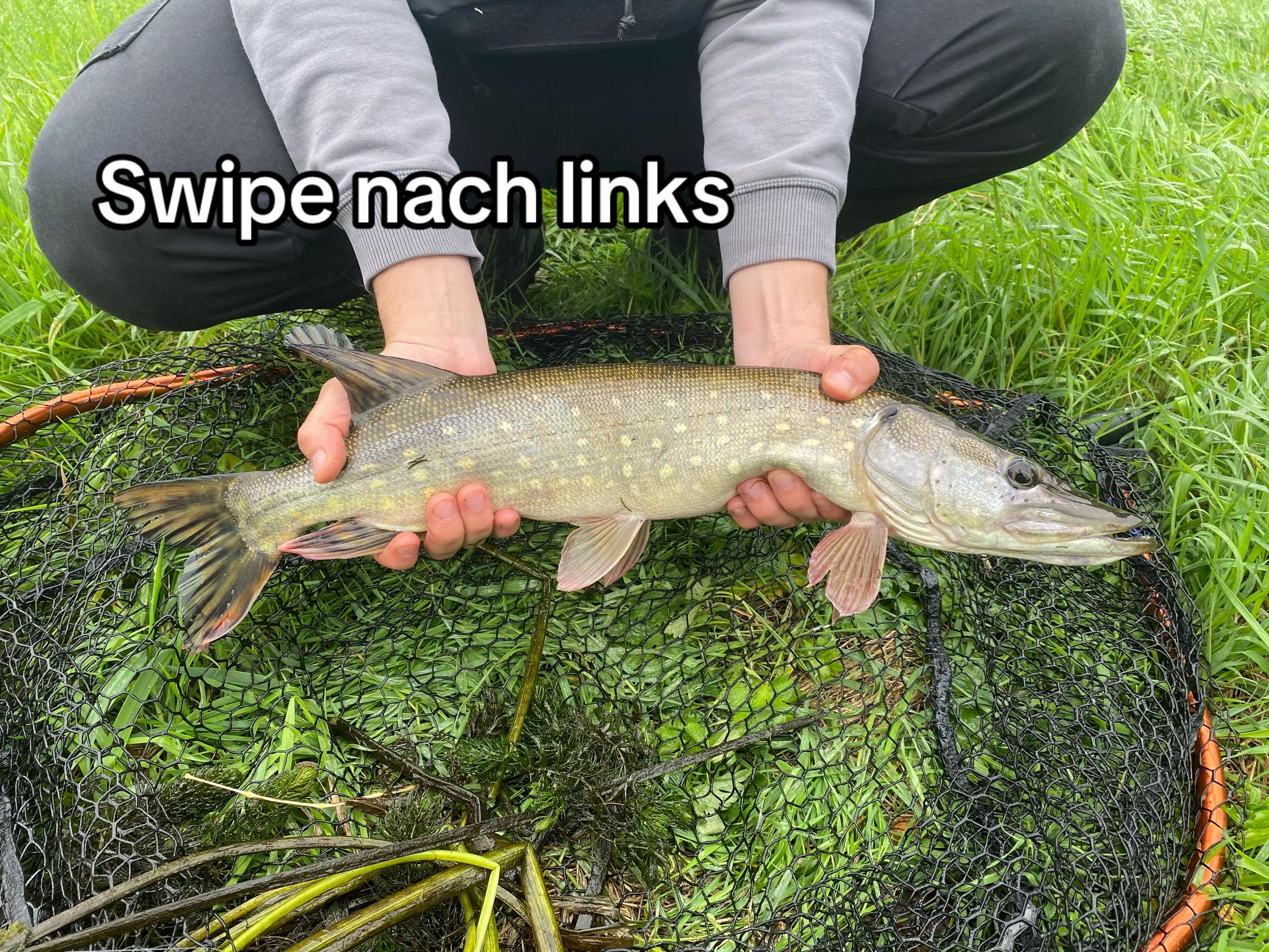 @strike_fishing_