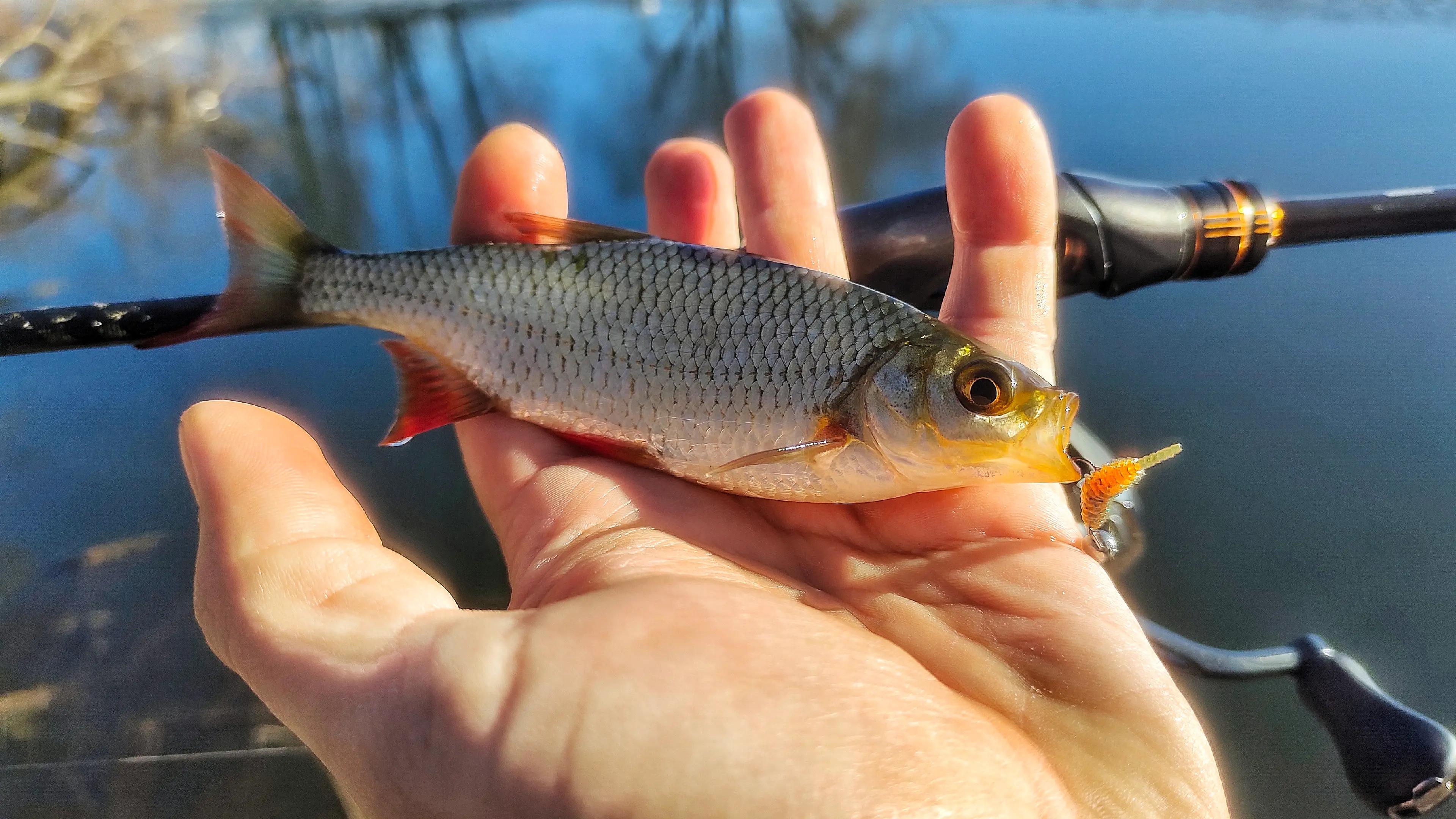 @hot_baits