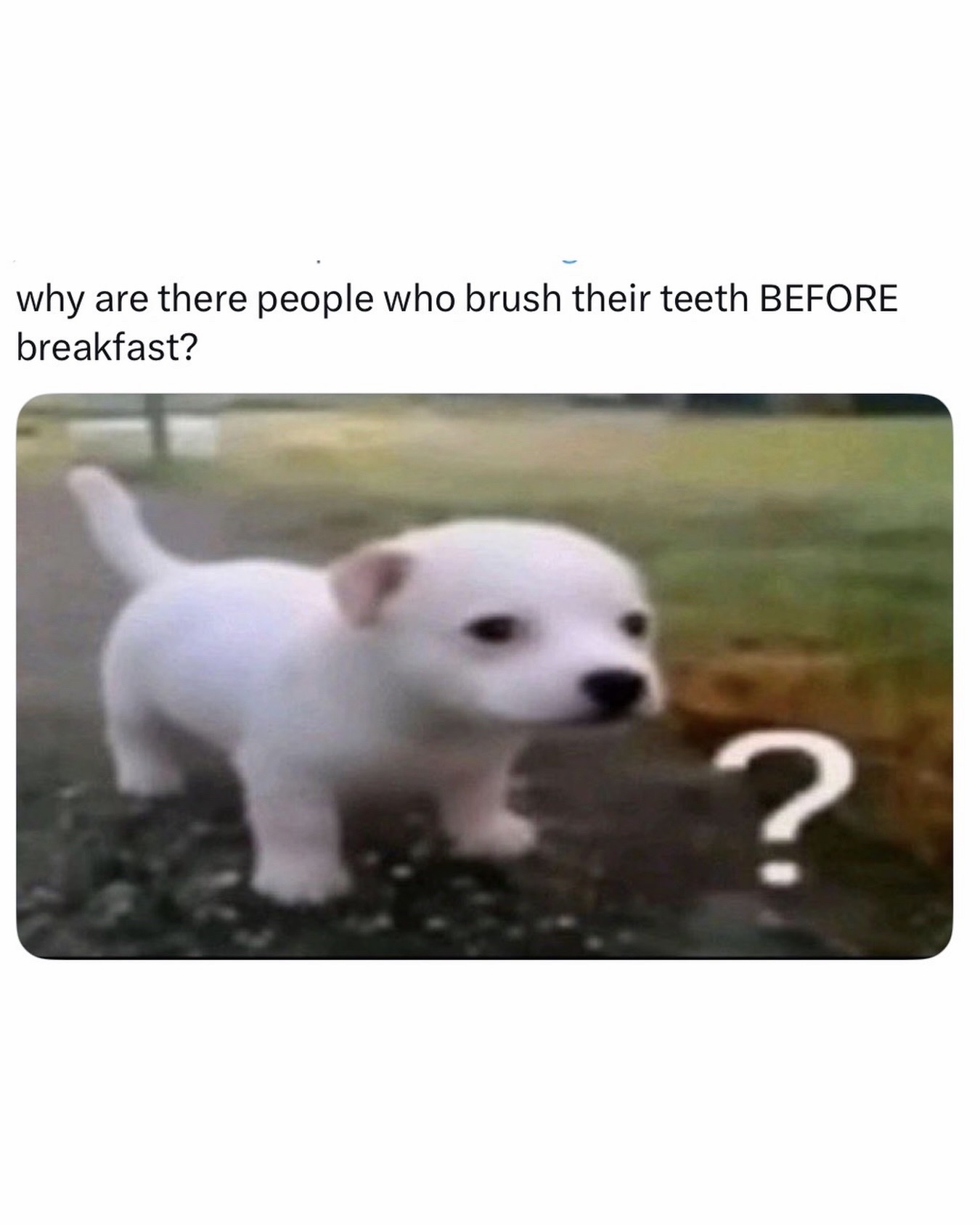 @females
