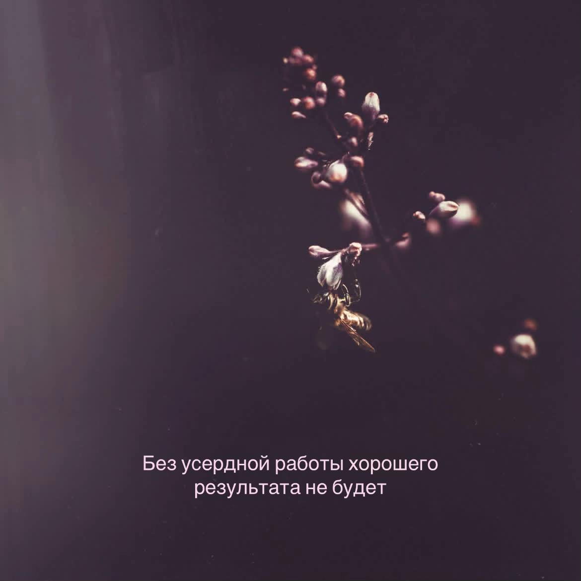 @ℳ