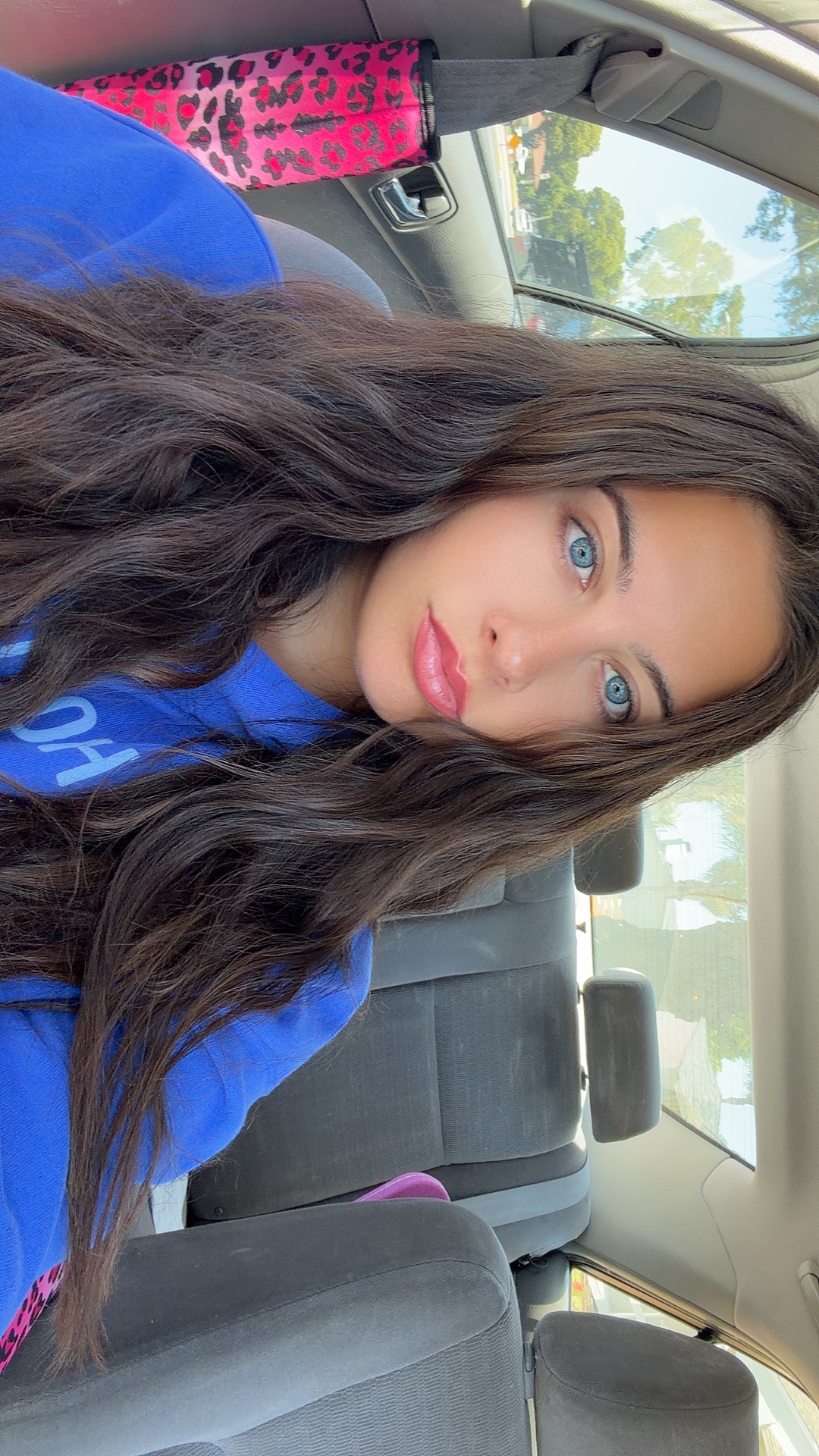 @arielloveskittens