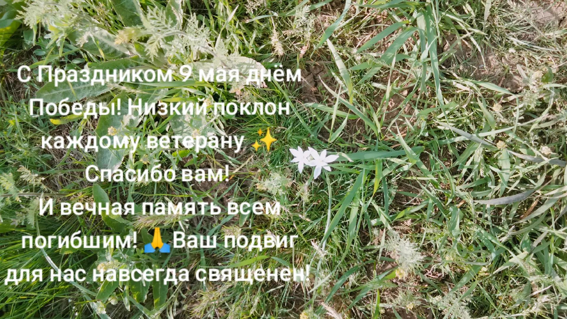 @Татьяна Саул