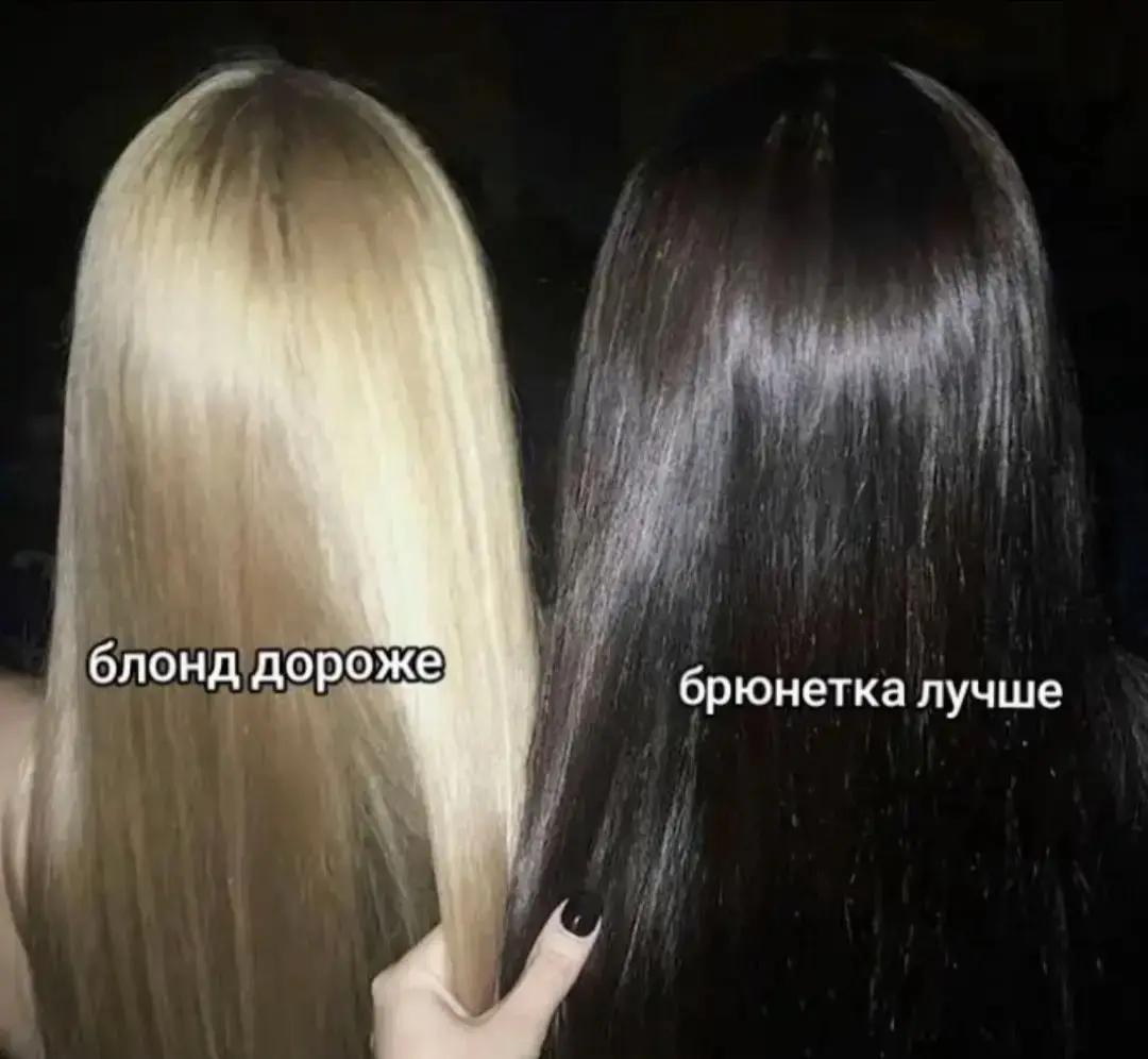 @xdhka_top.1