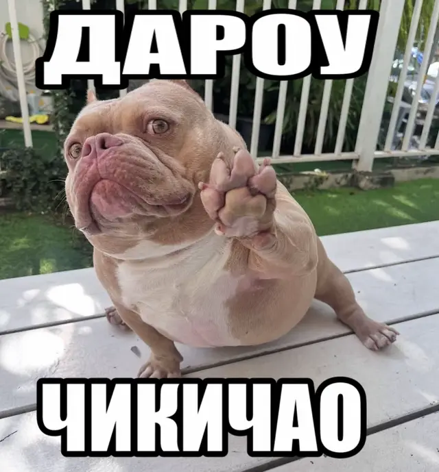 @тгк:abelfelony