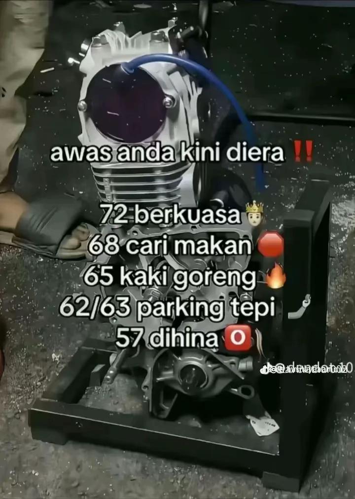 @ADUL MVG