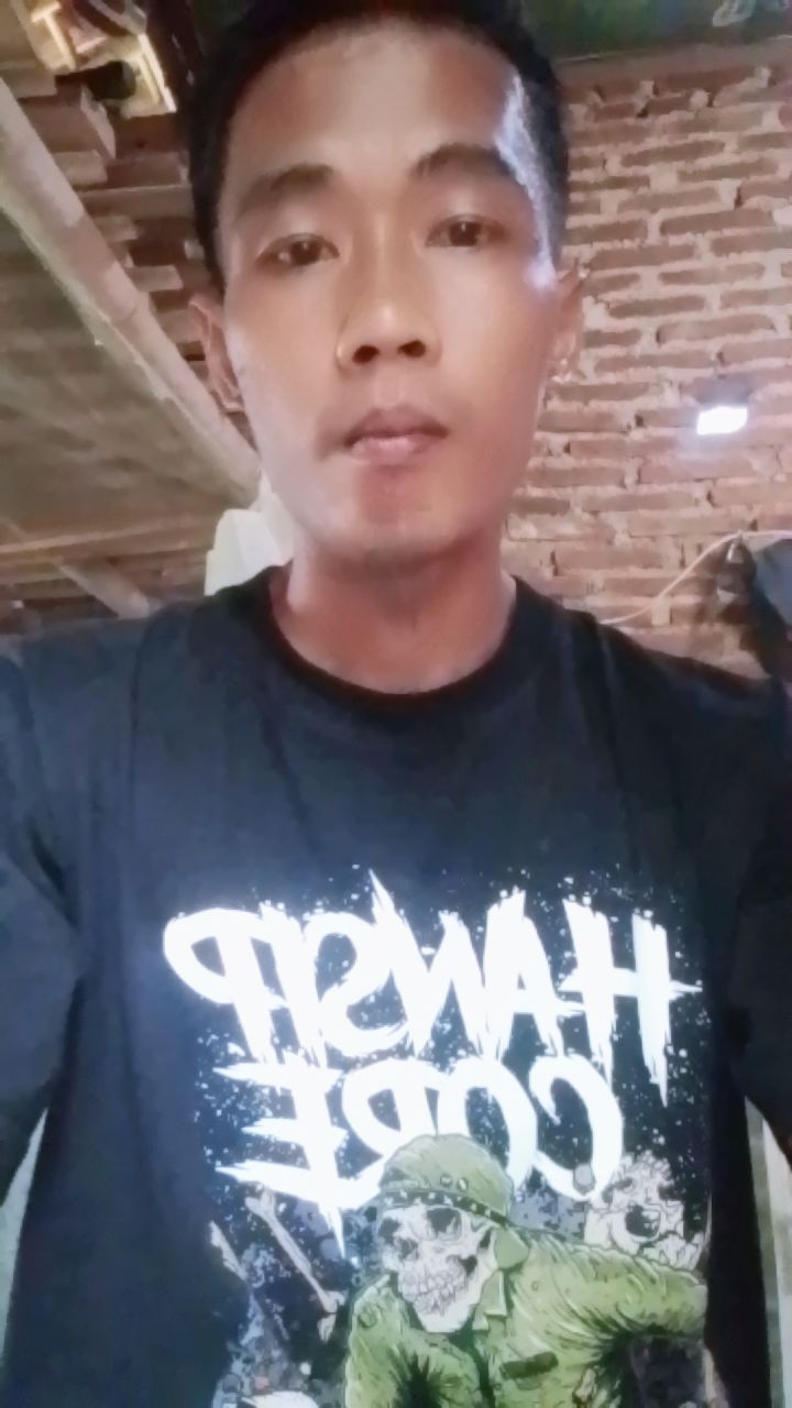 @HANSIPCORE