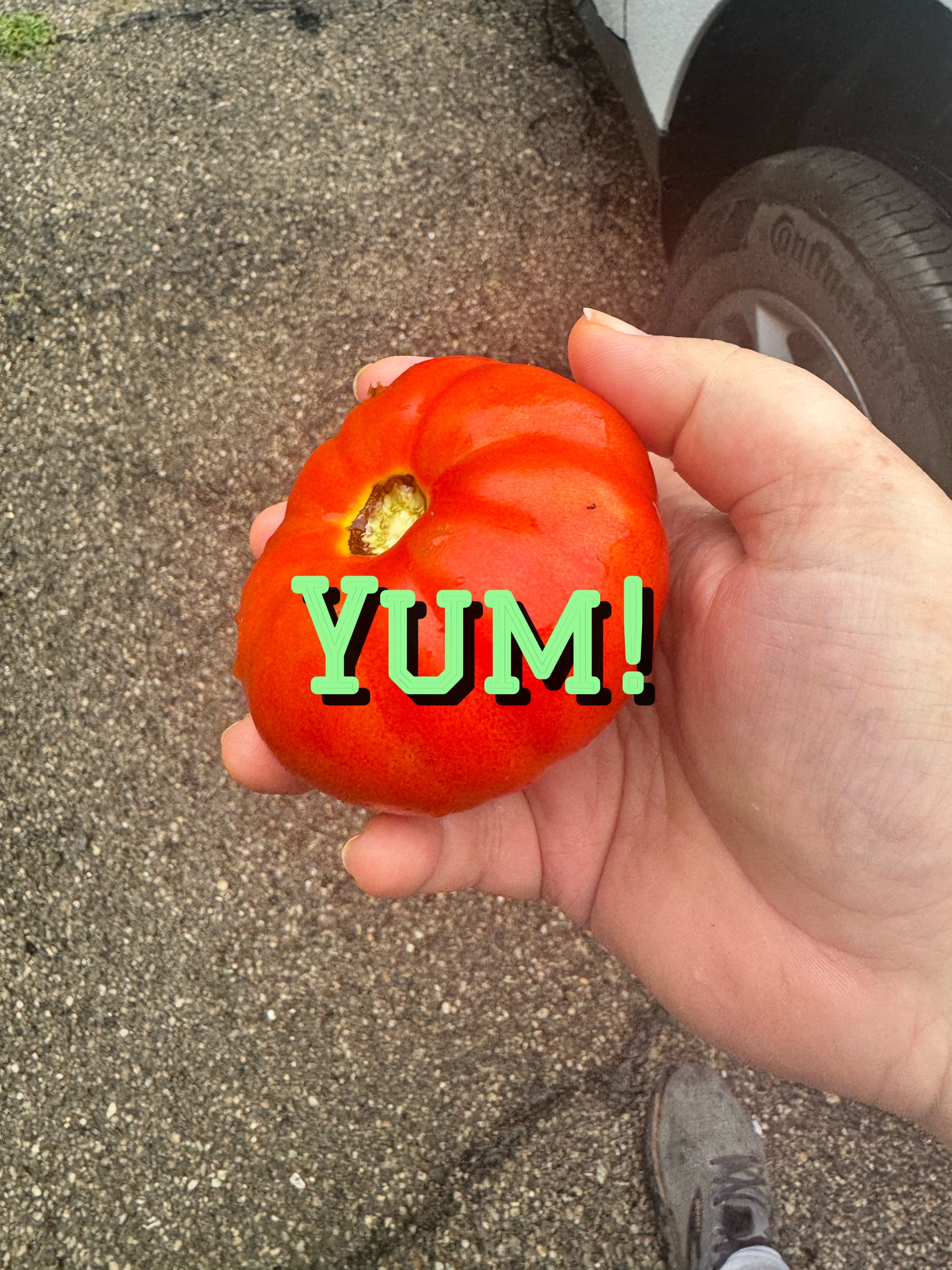@Happy American ๐๏ธ๐๐ค