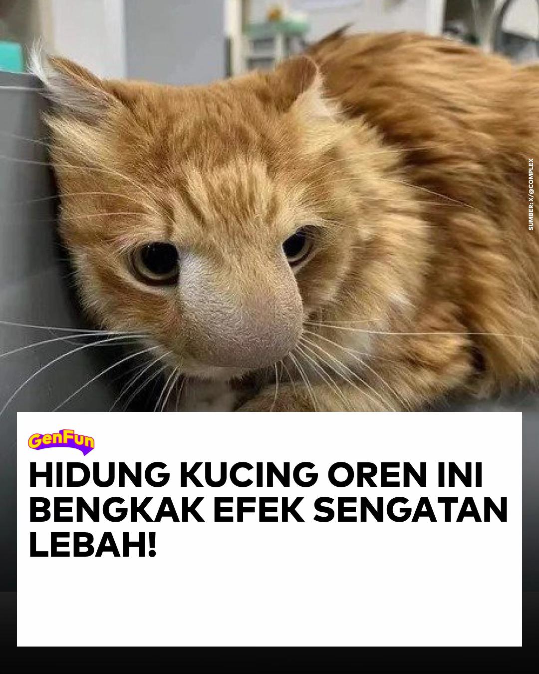 @GenFun