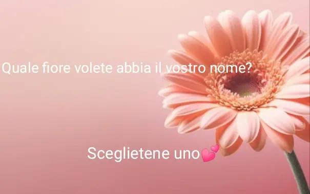 @✨️𝓖𝓲𝓾𝓵𝓲𝓪🌹✨️
