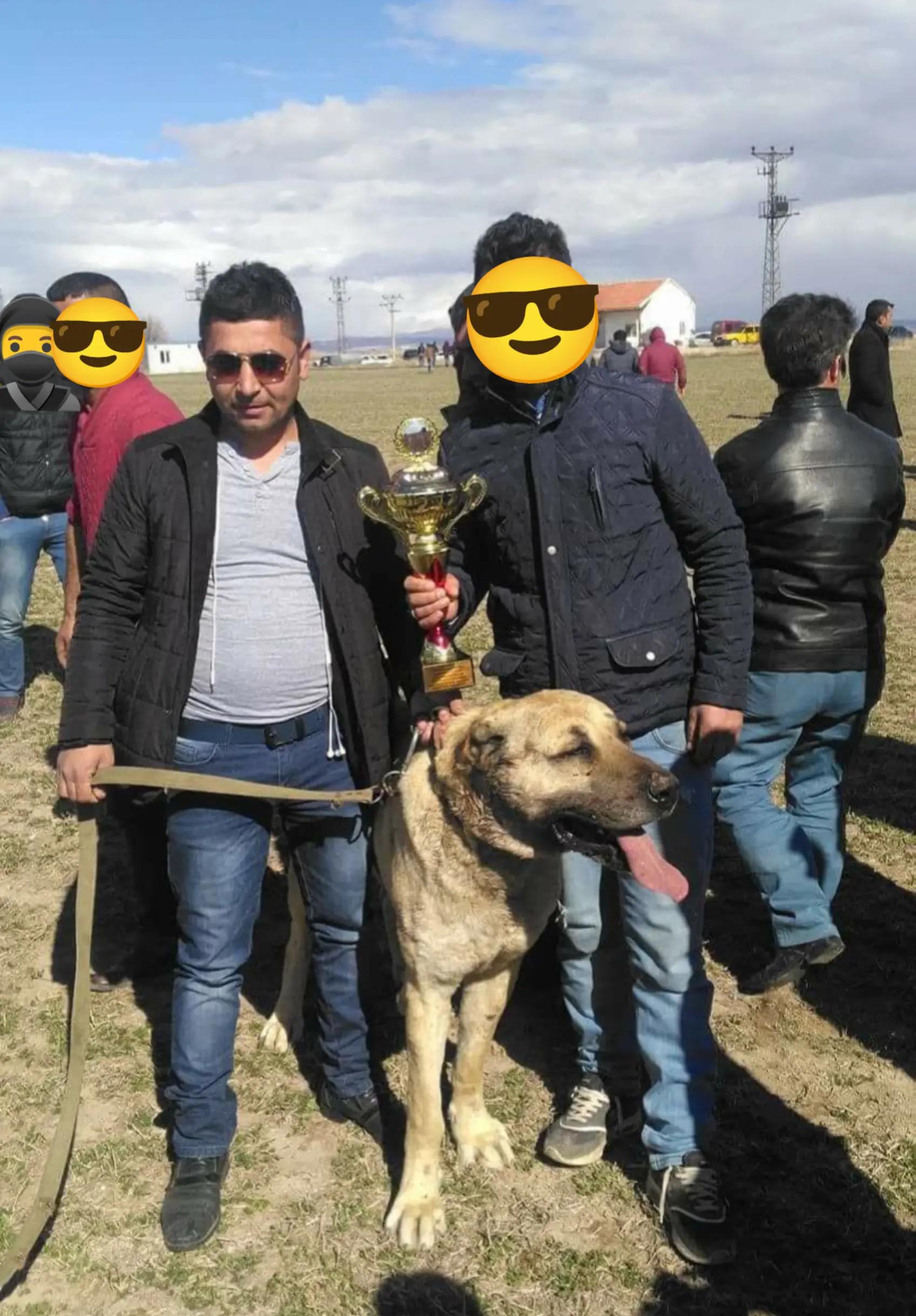 @🏆 TRKANGAL23 🏆