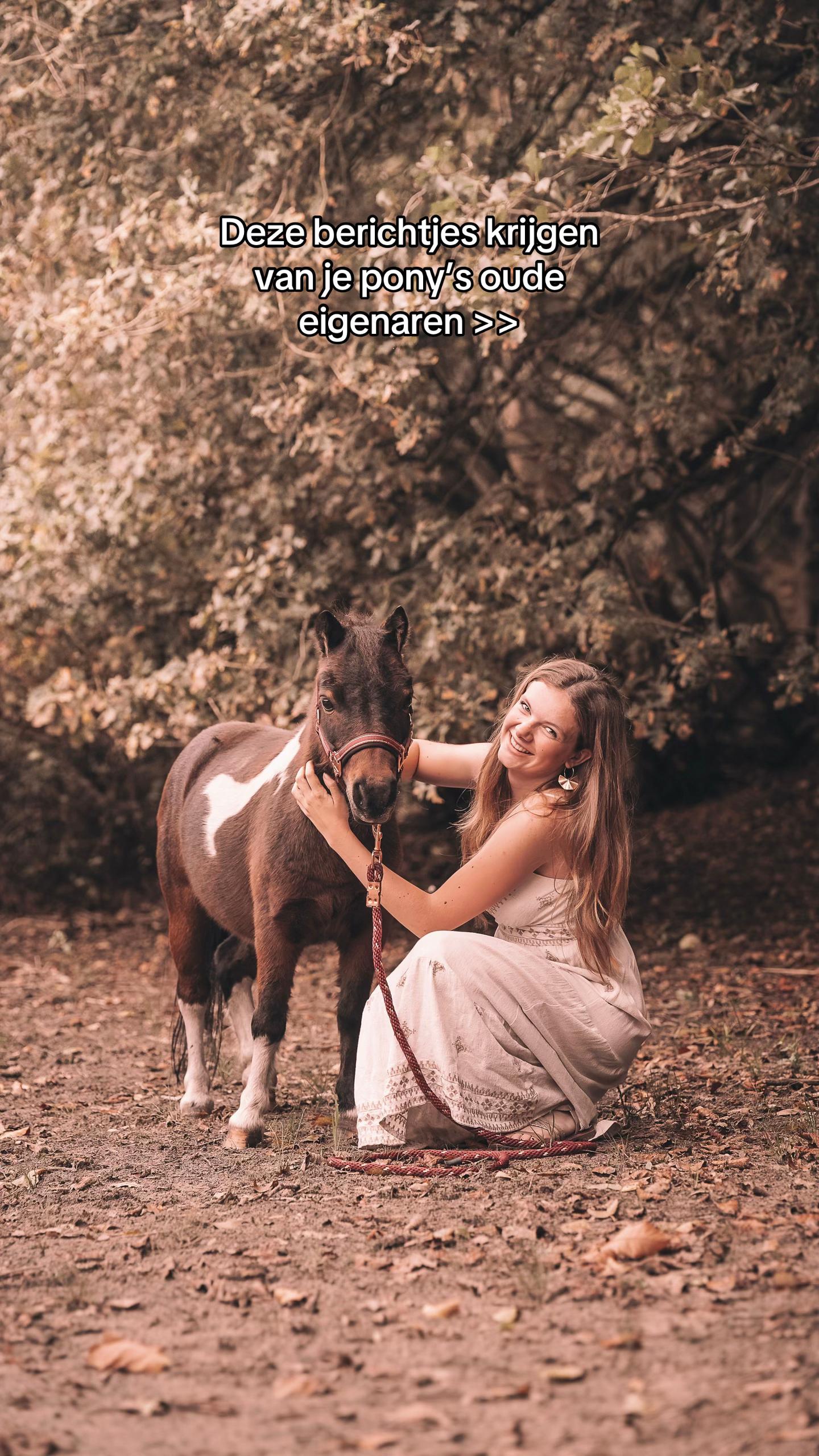 @equi.jcf