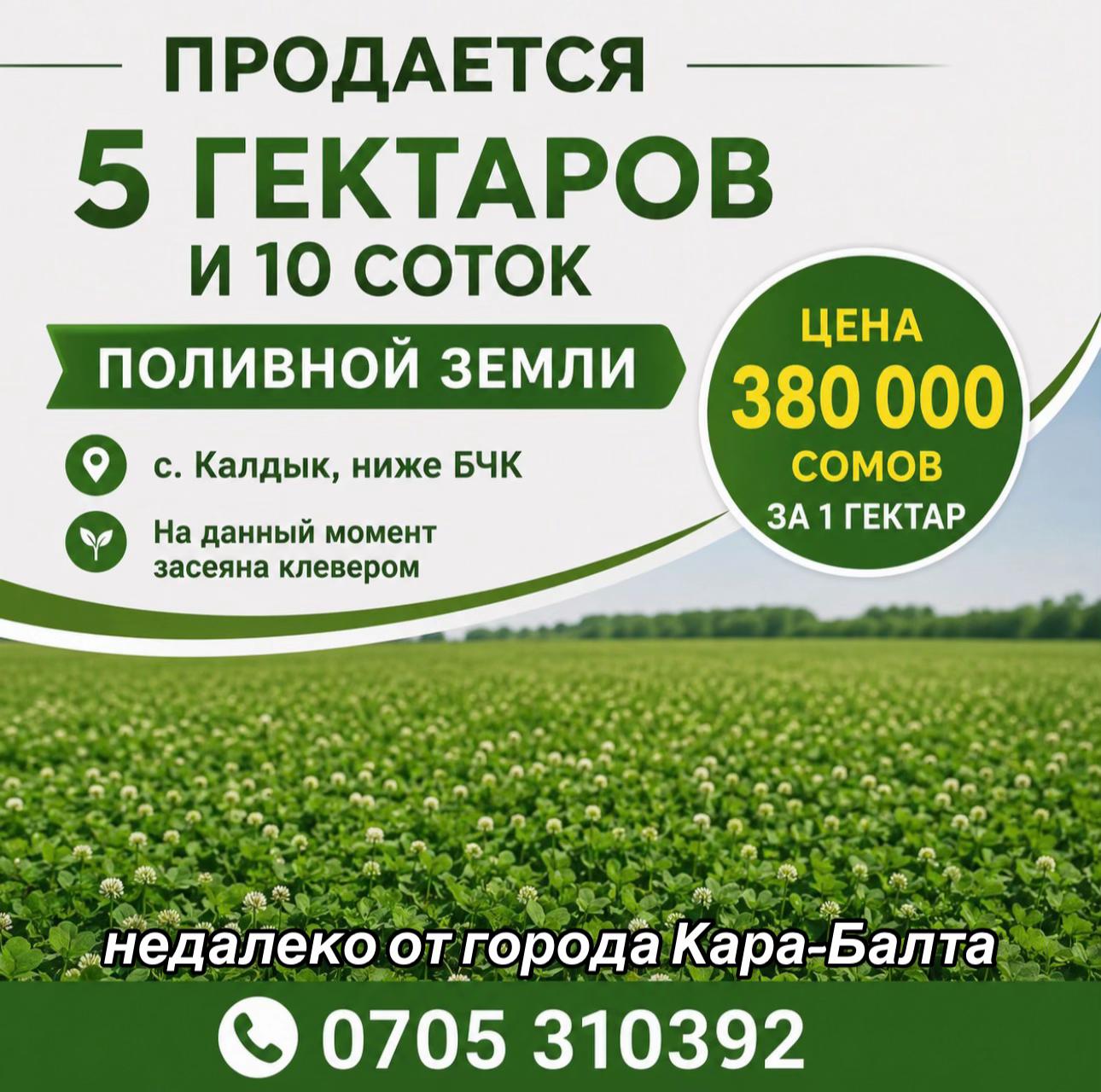 @vesti.kb