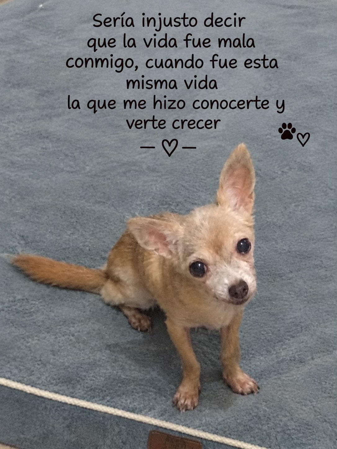 @Alta.Durán