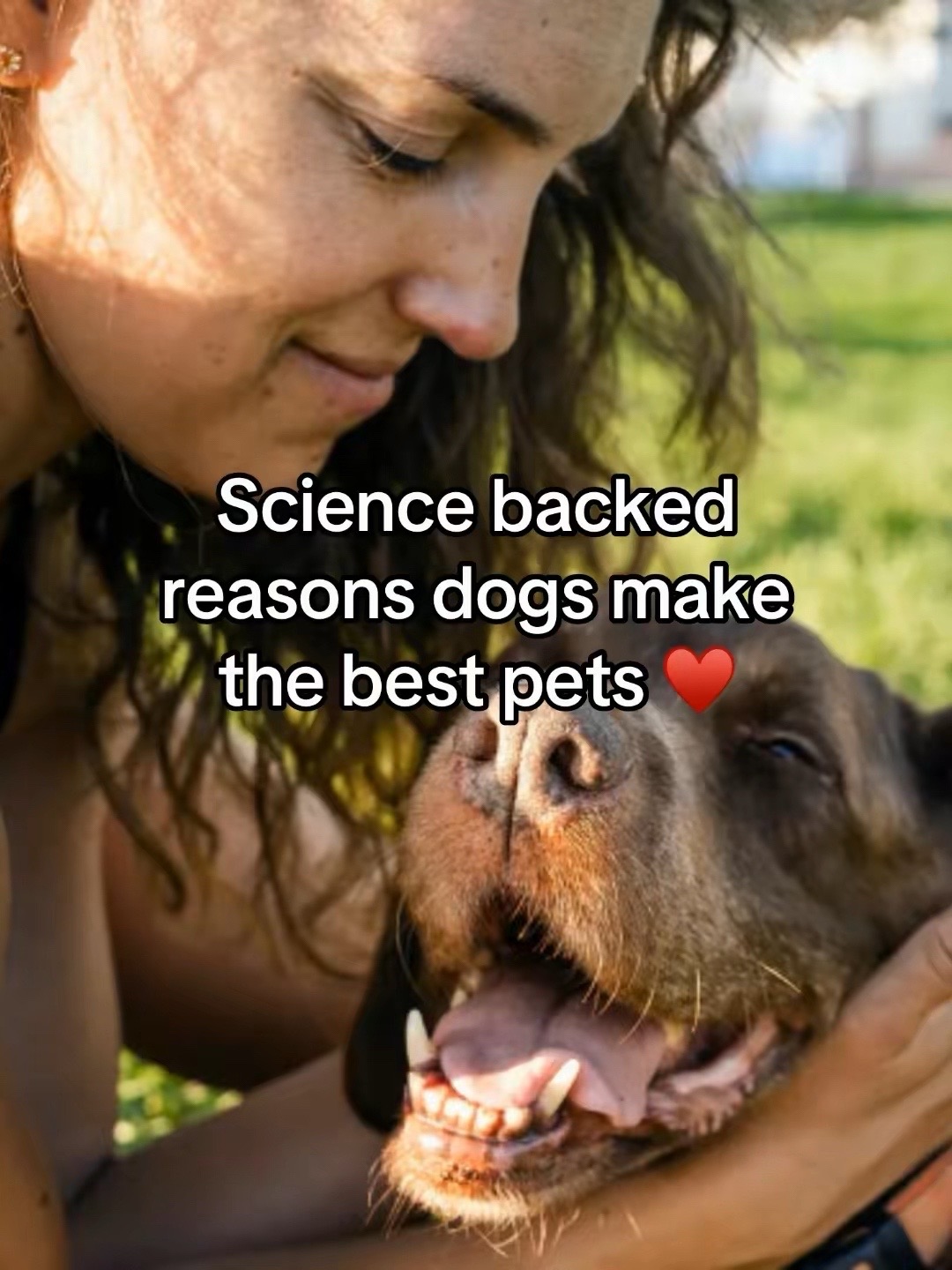 @Adopt a Pet