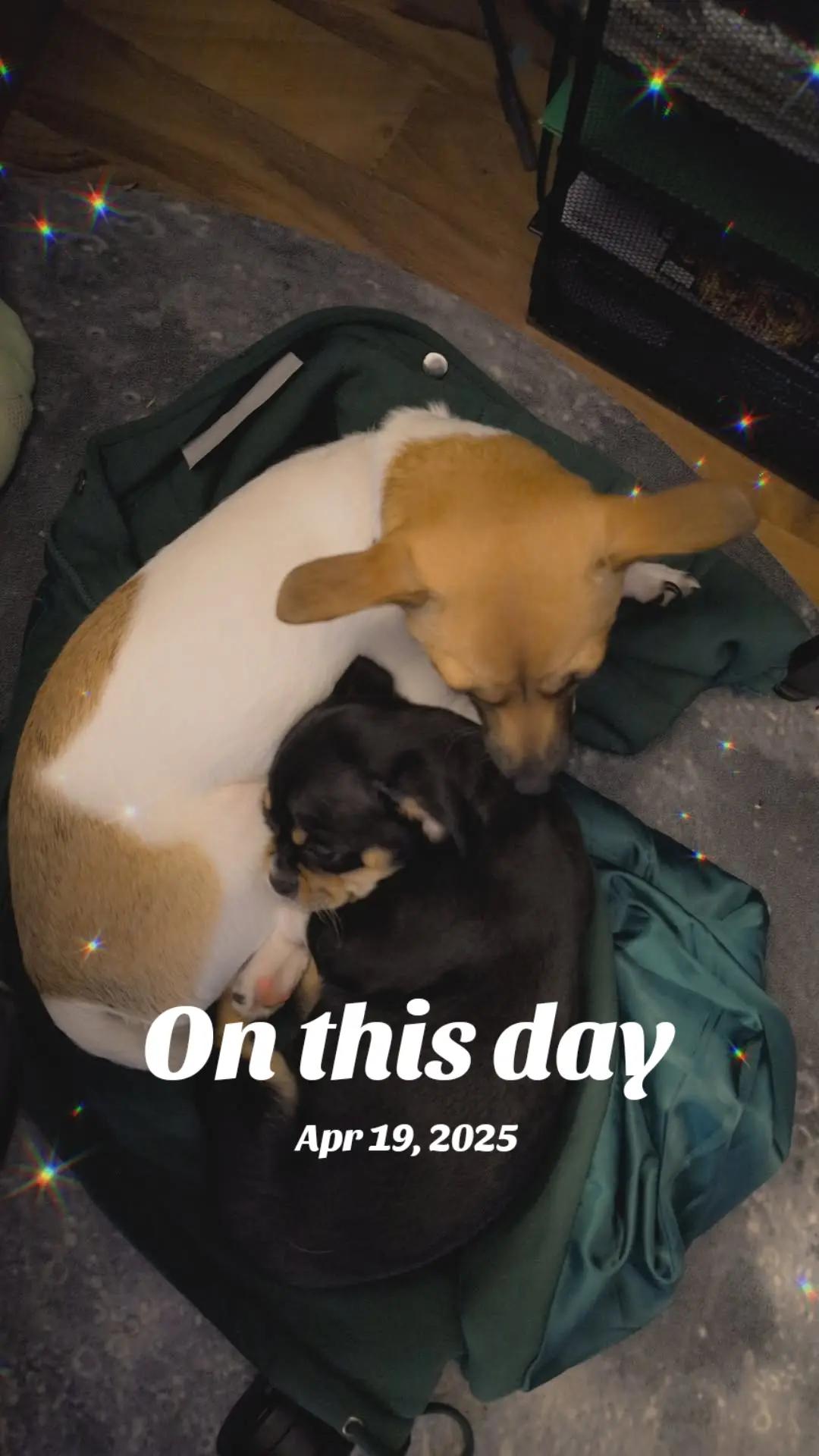 @minnesotamomma90