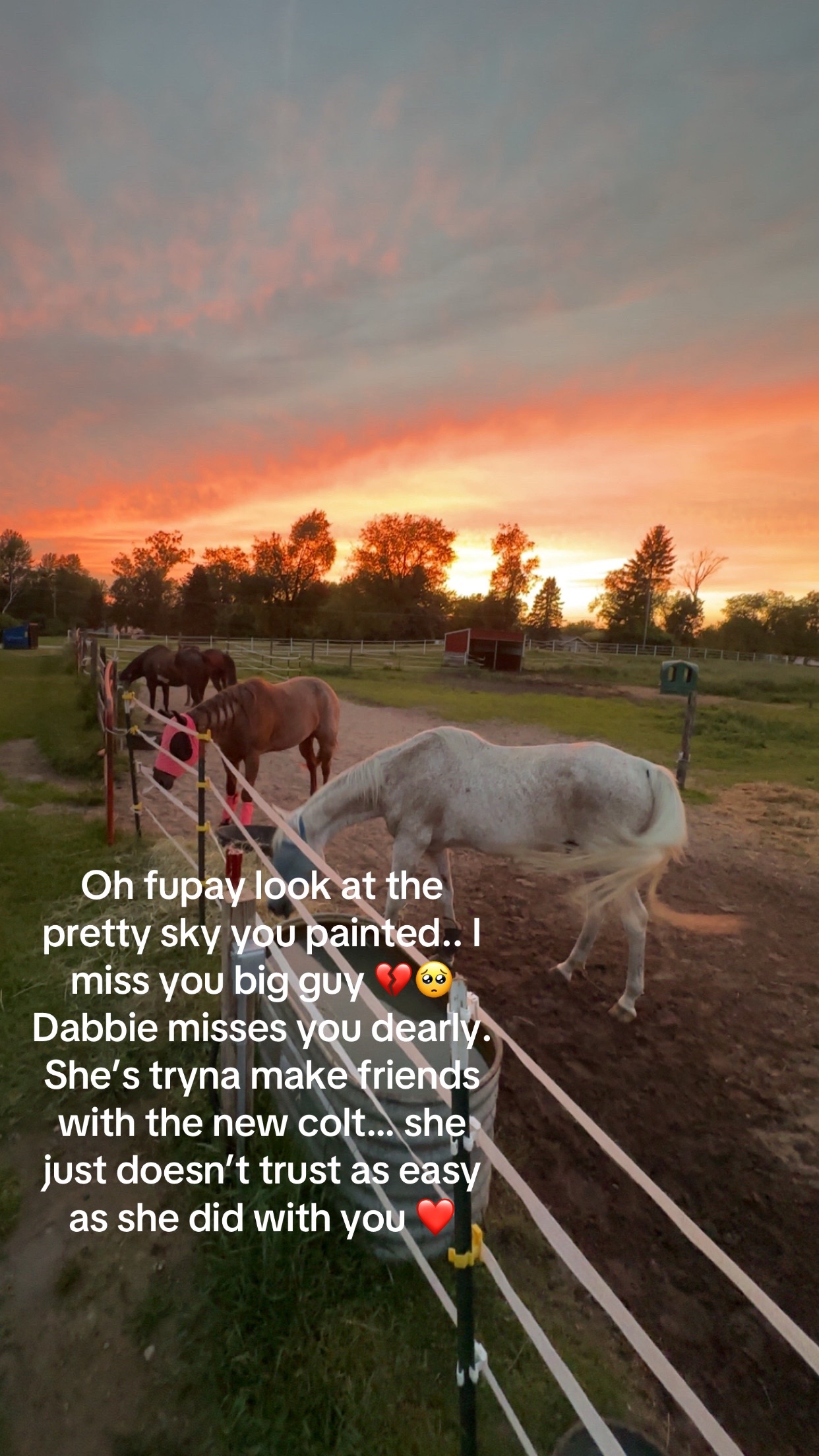 @Arrienne🤠