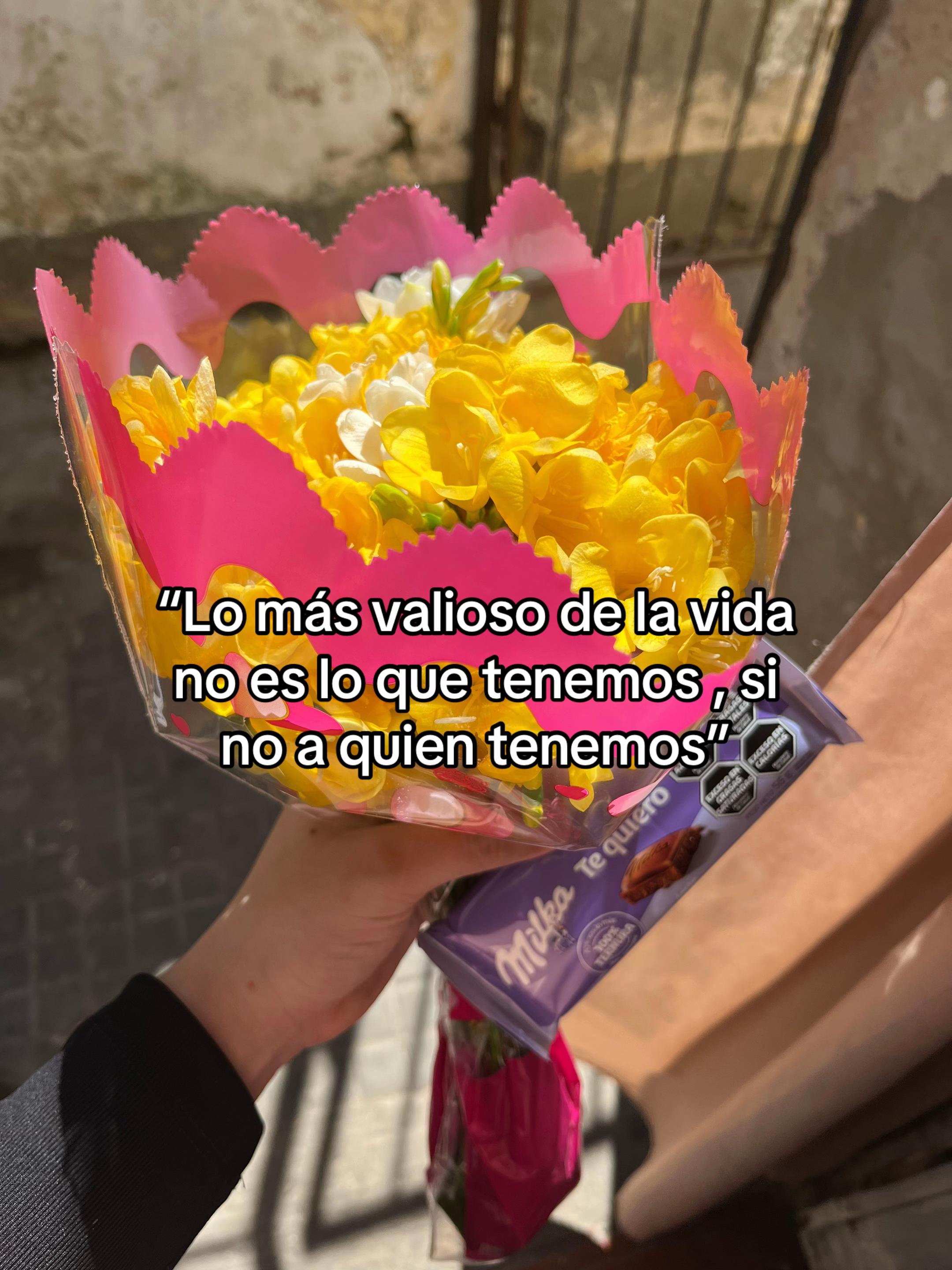 @ari.fdz