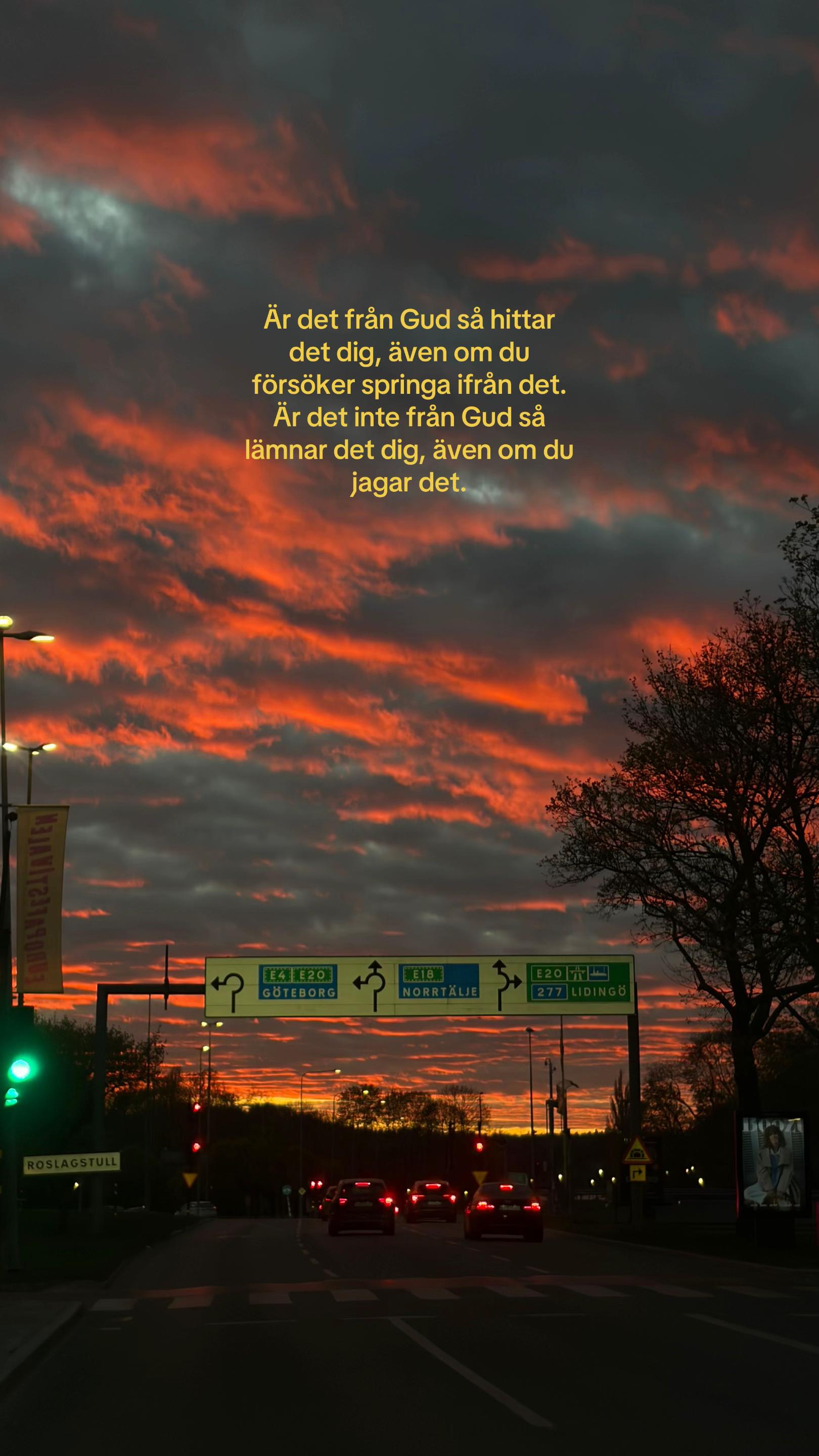 @Alicia Lauterbach