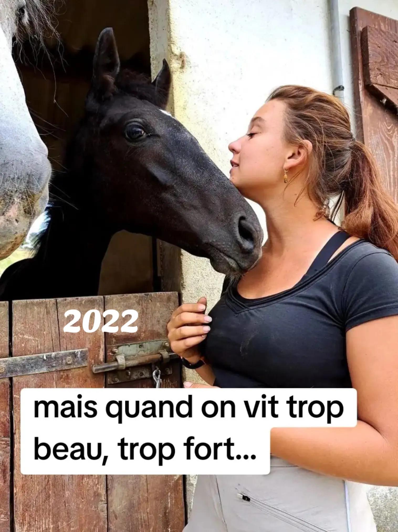 @Une.fleur.a.cheval